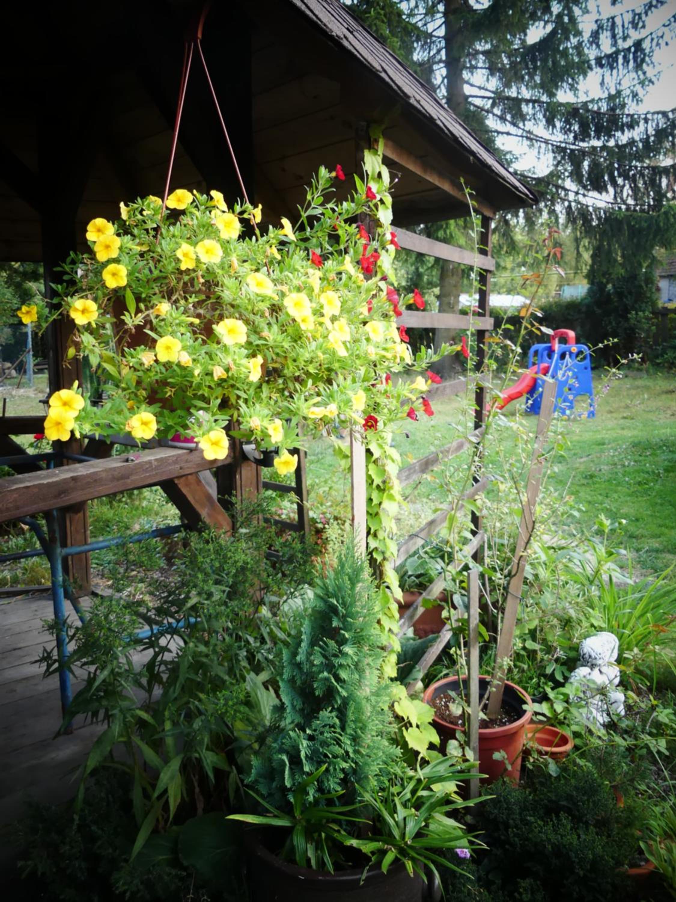 Photo 43