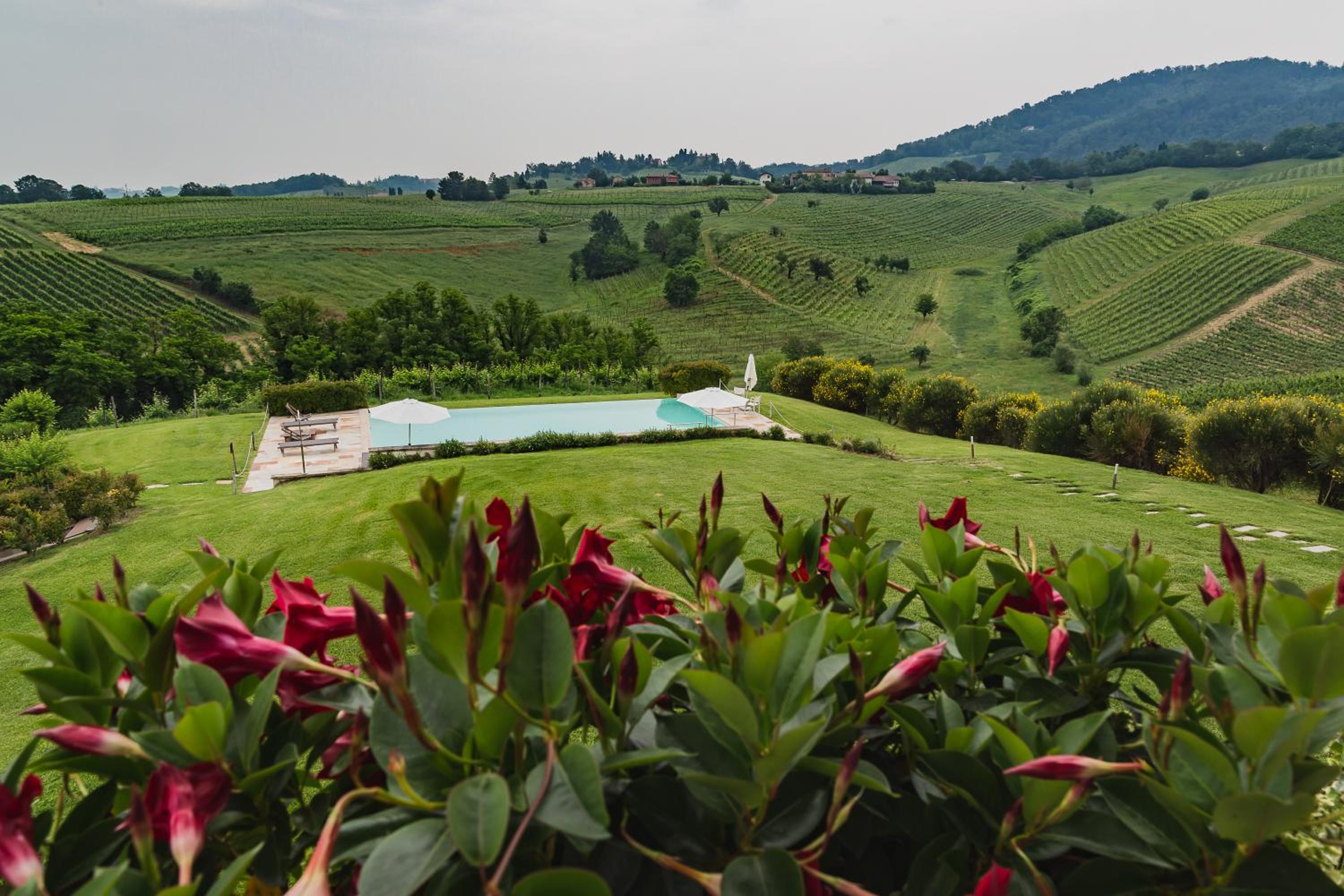 Prime Alture Wine Resort