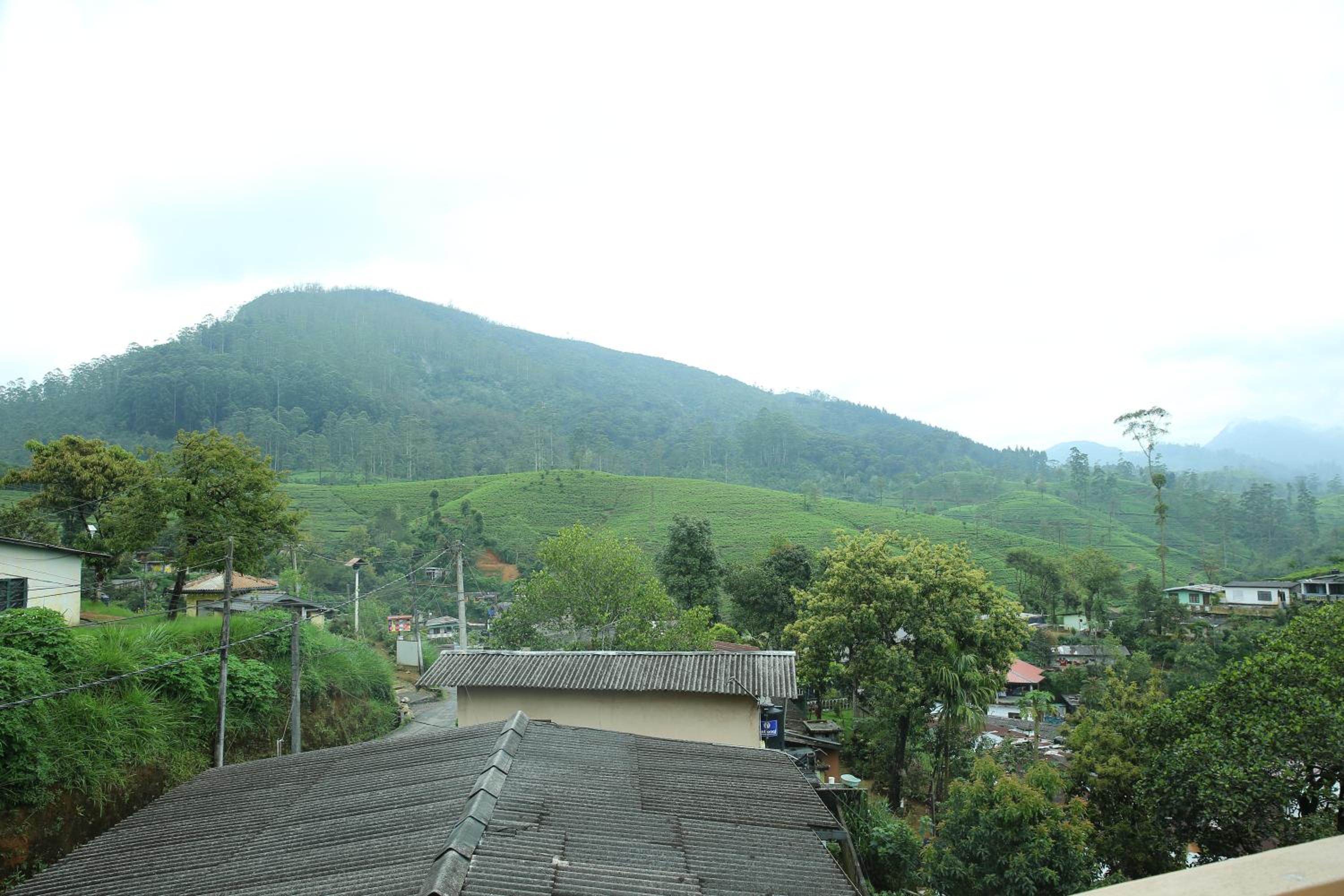 Mount View Bungalow, photo 60