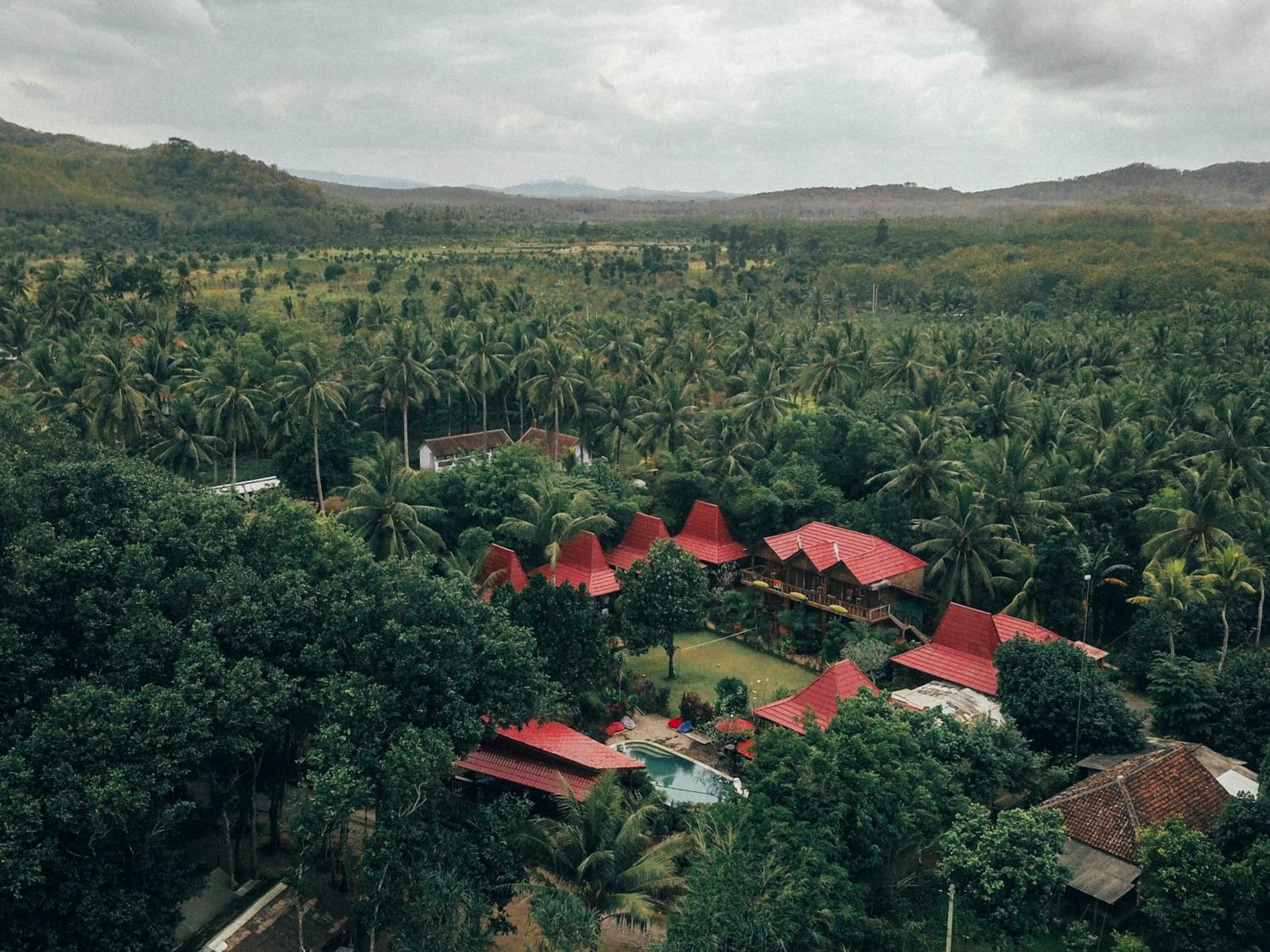 Mojosurf Camp Red Island