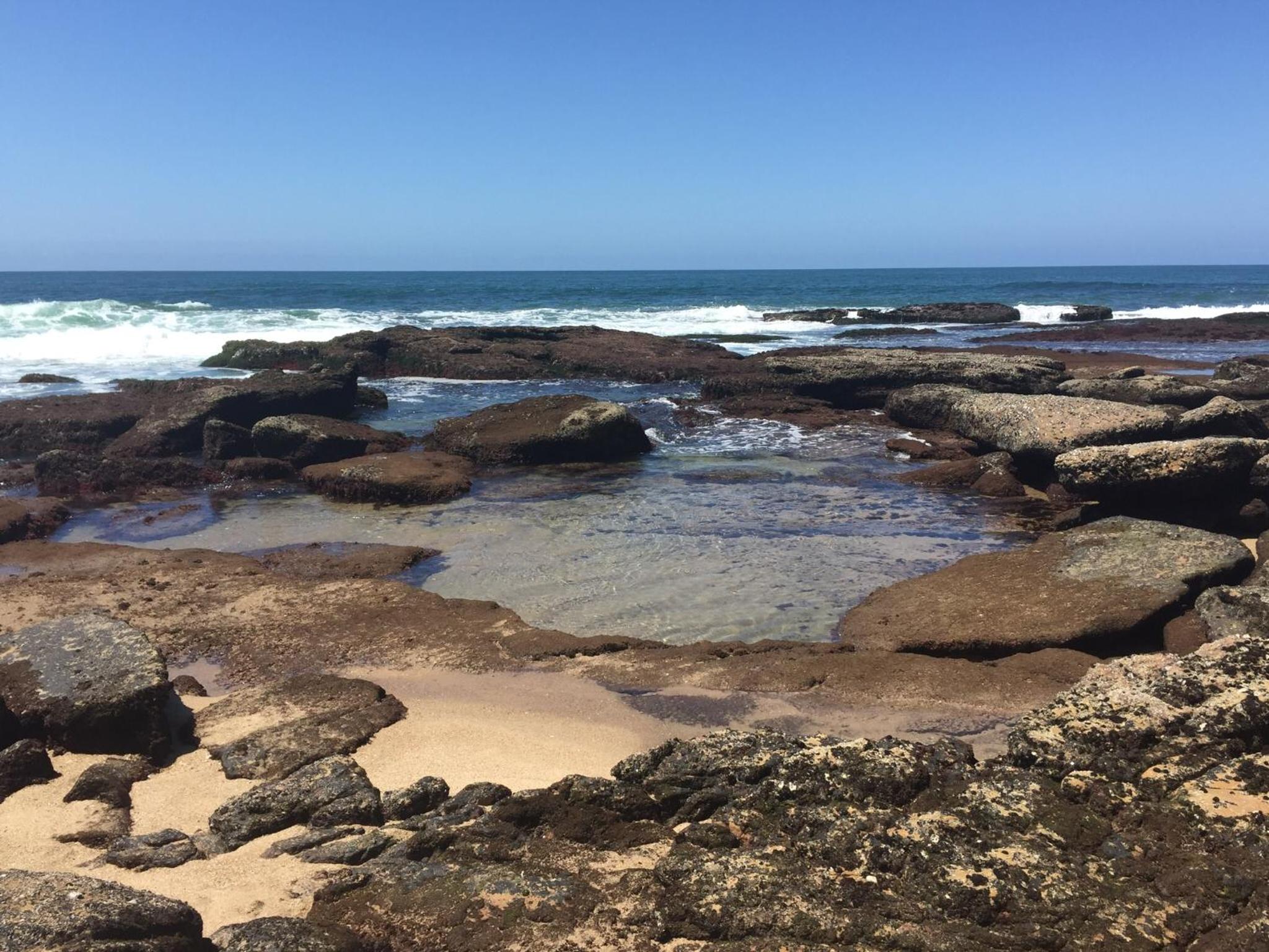 Shelly Beach, Villa Albatross 2 view 3