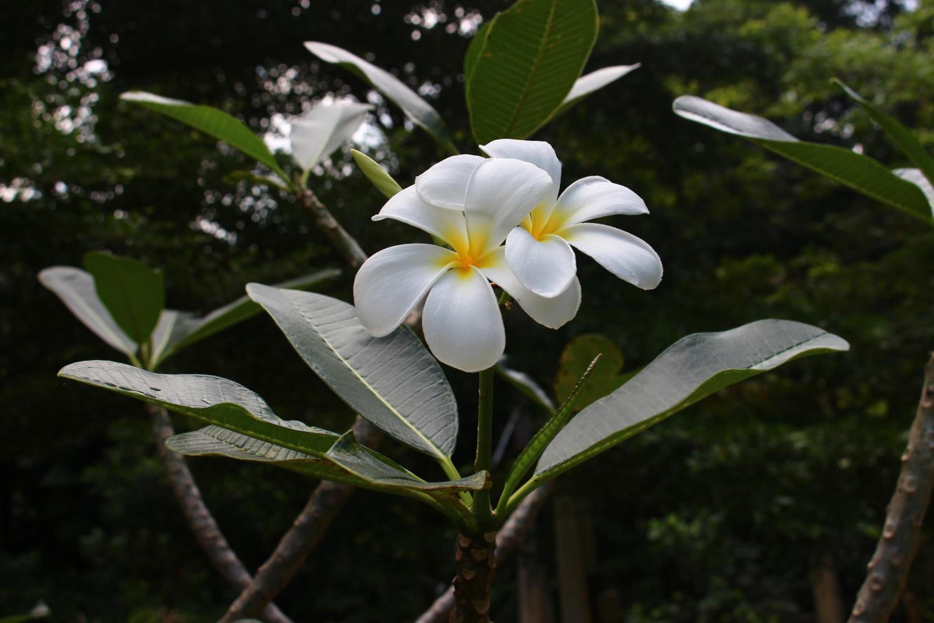 Photo 49