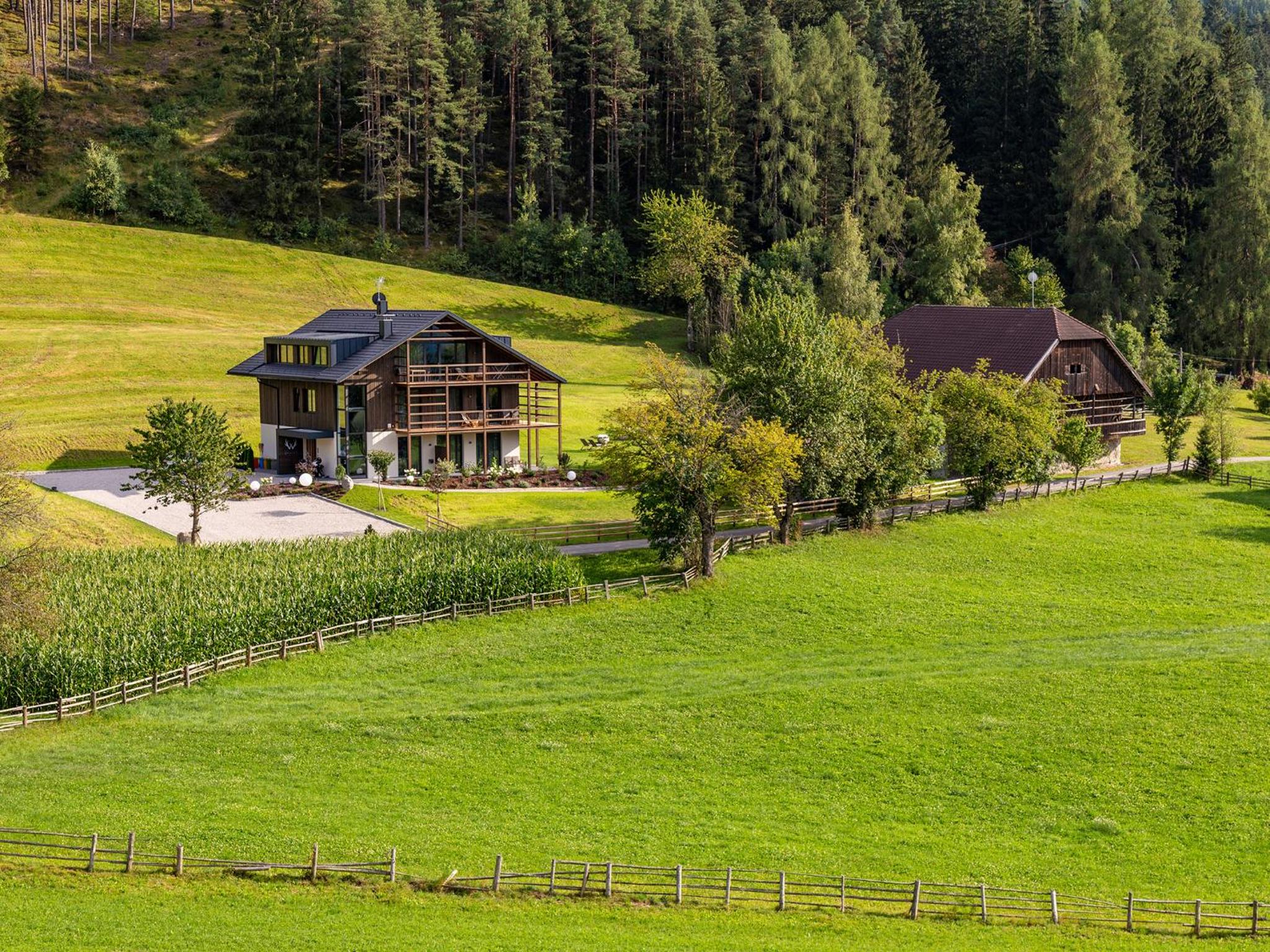 KRONPLATZ CHALET WALCHHORN - Brunico, Dolomites view 5