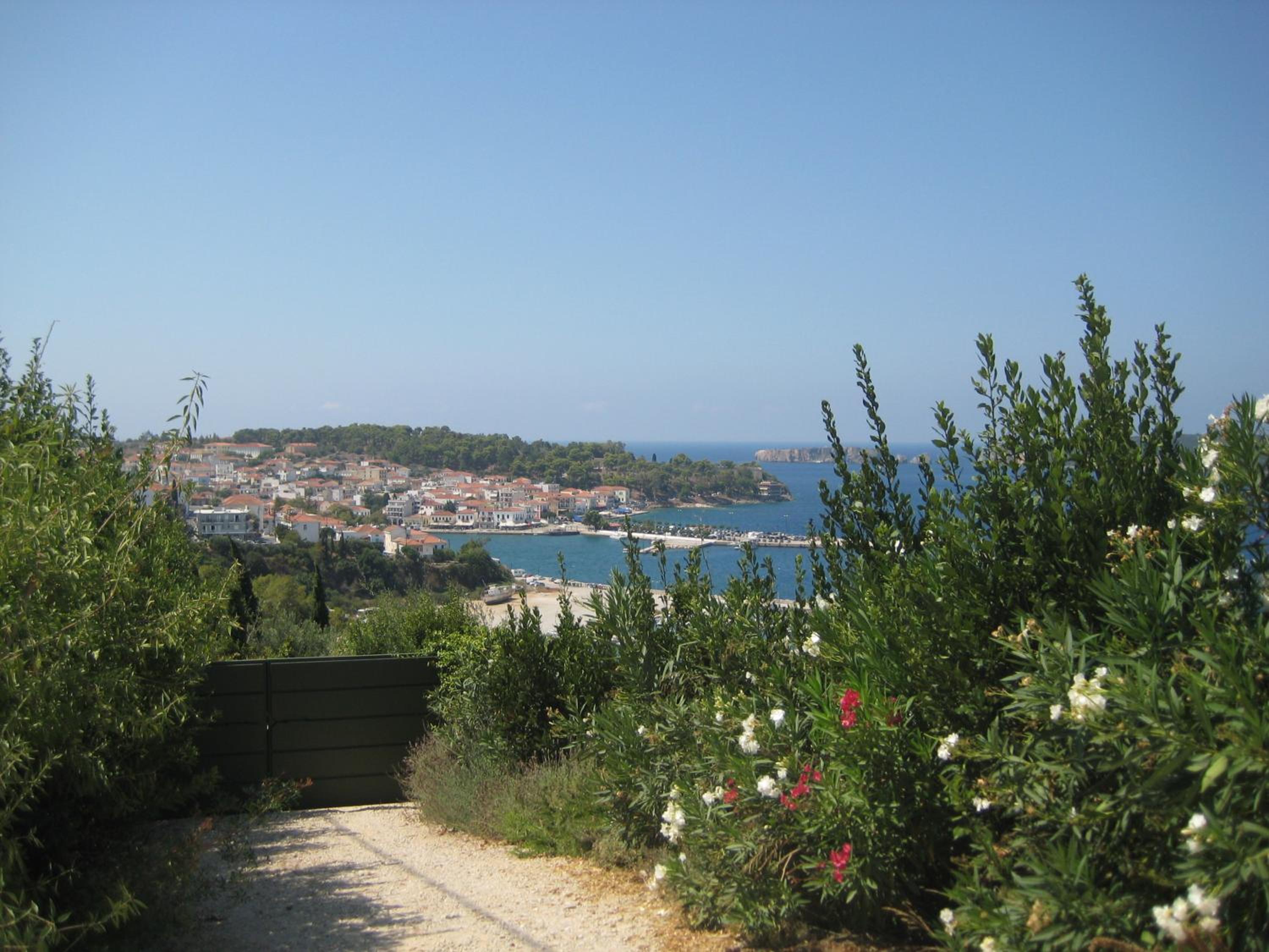 Photo 9