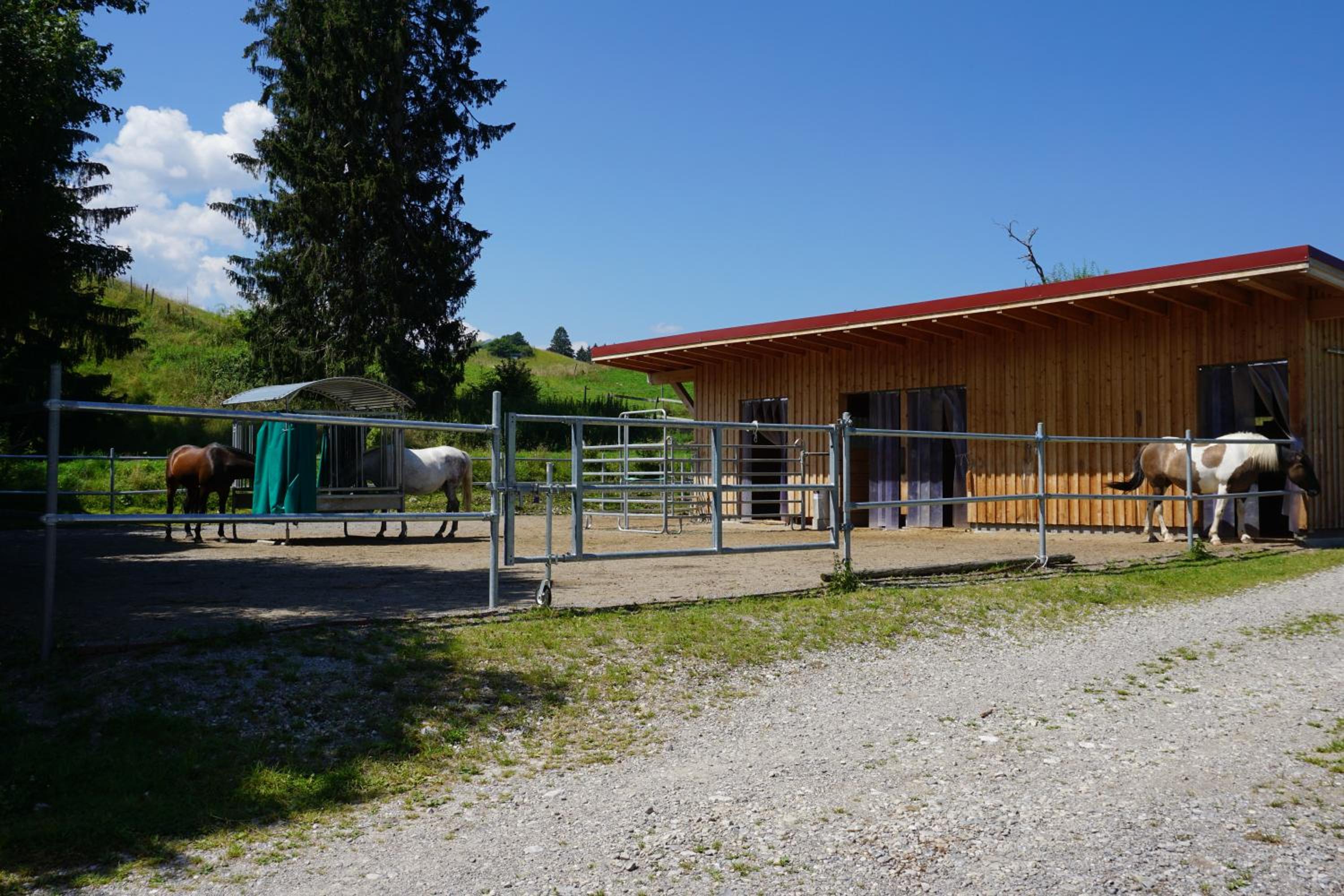 Ferienhof AllgäuMax