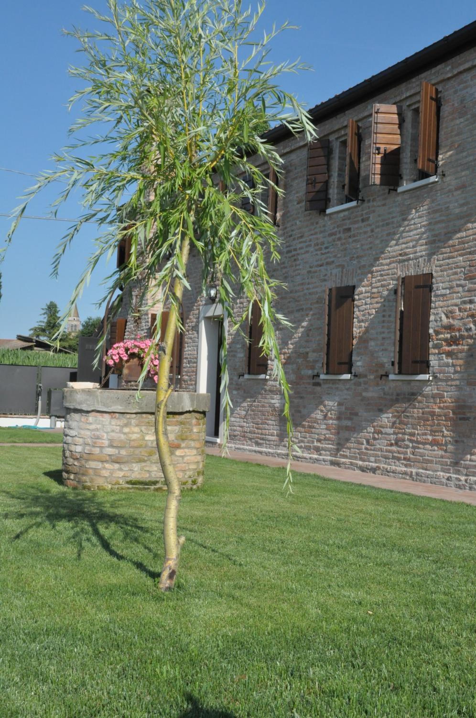Casa Sansovino