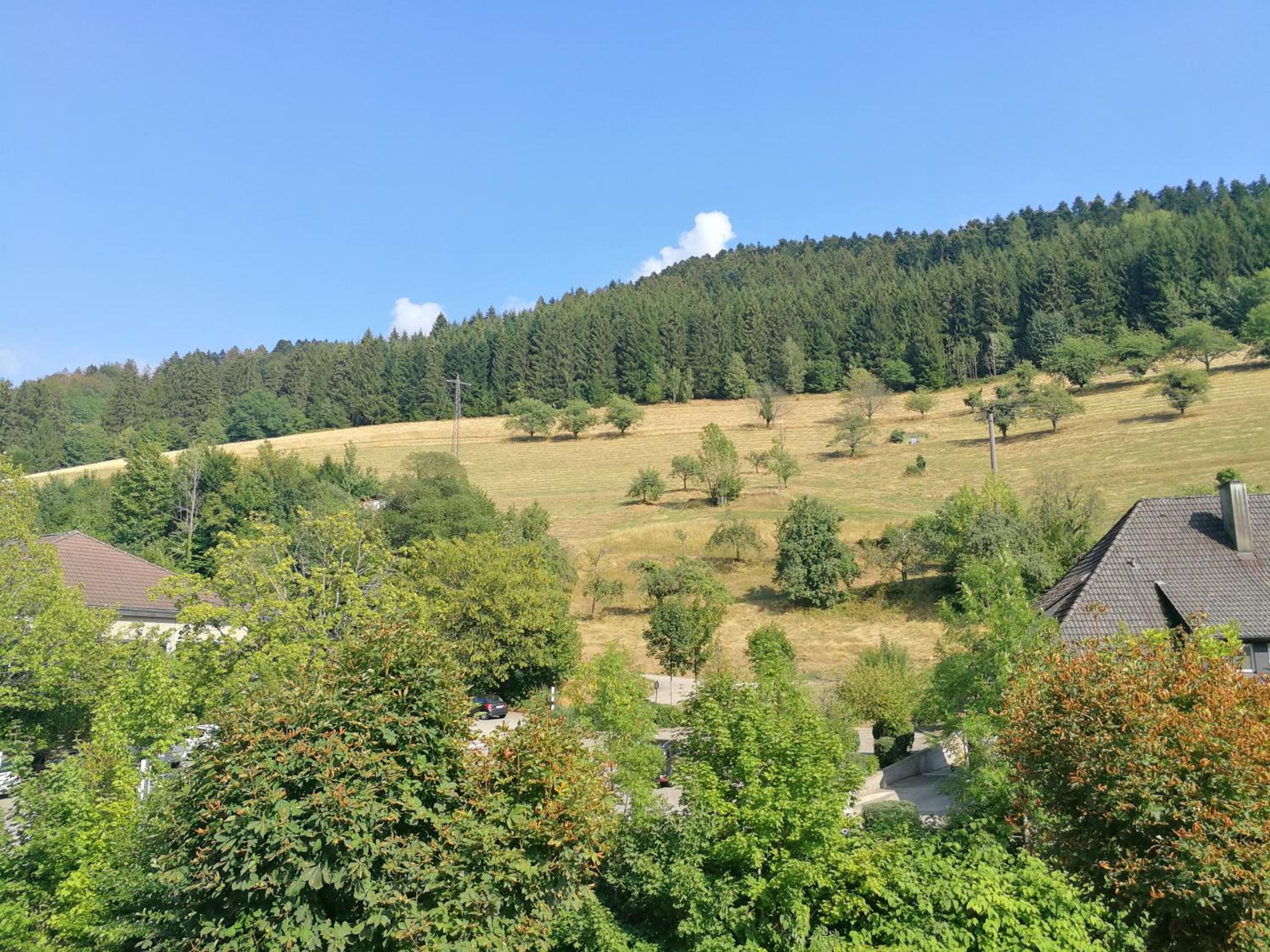 Pension Zur Rose
