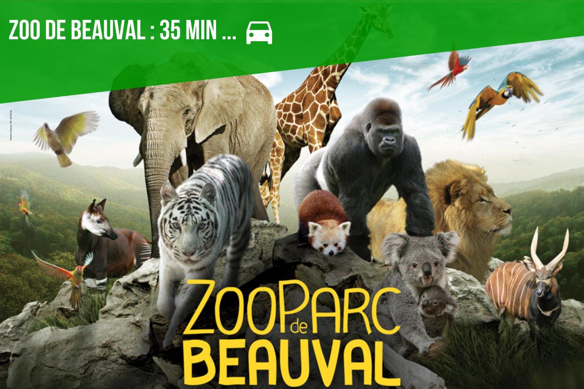 Les Malvas