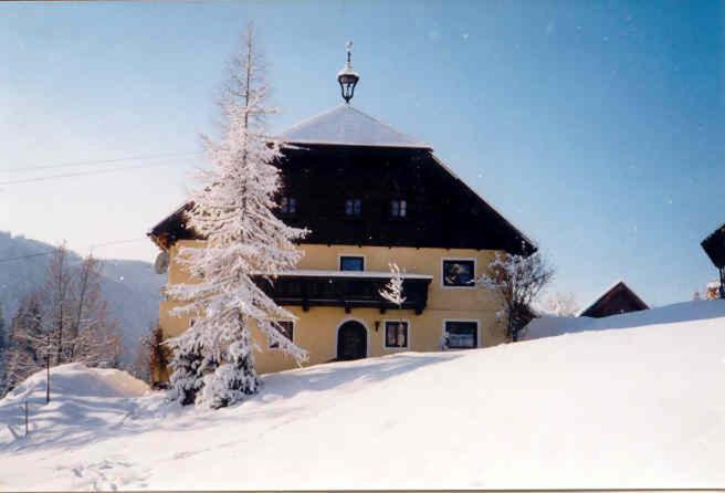 Photo 46