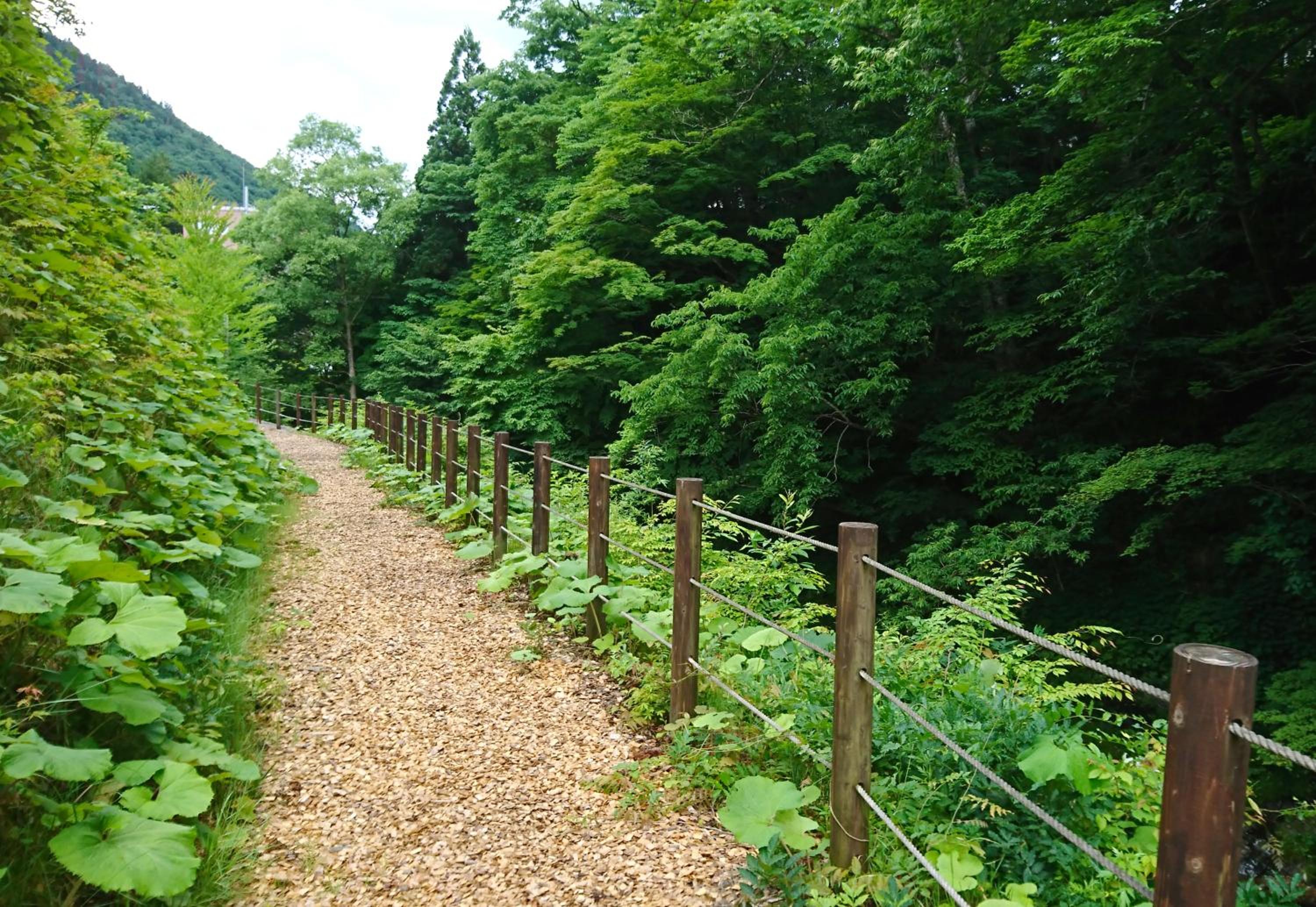 竹あかりの宿 加賀助