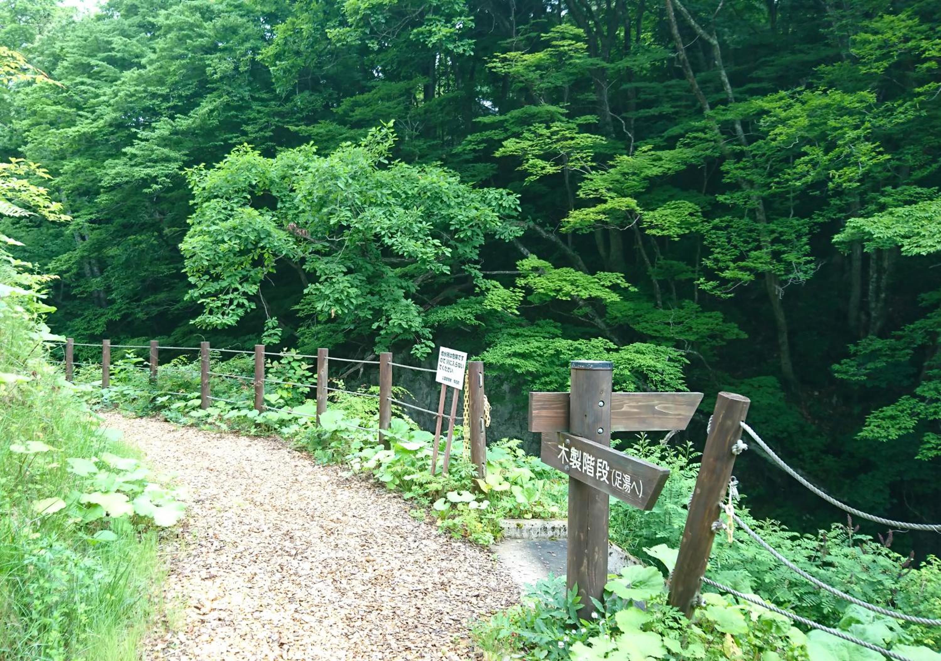 竹あかりの宿 加賀助