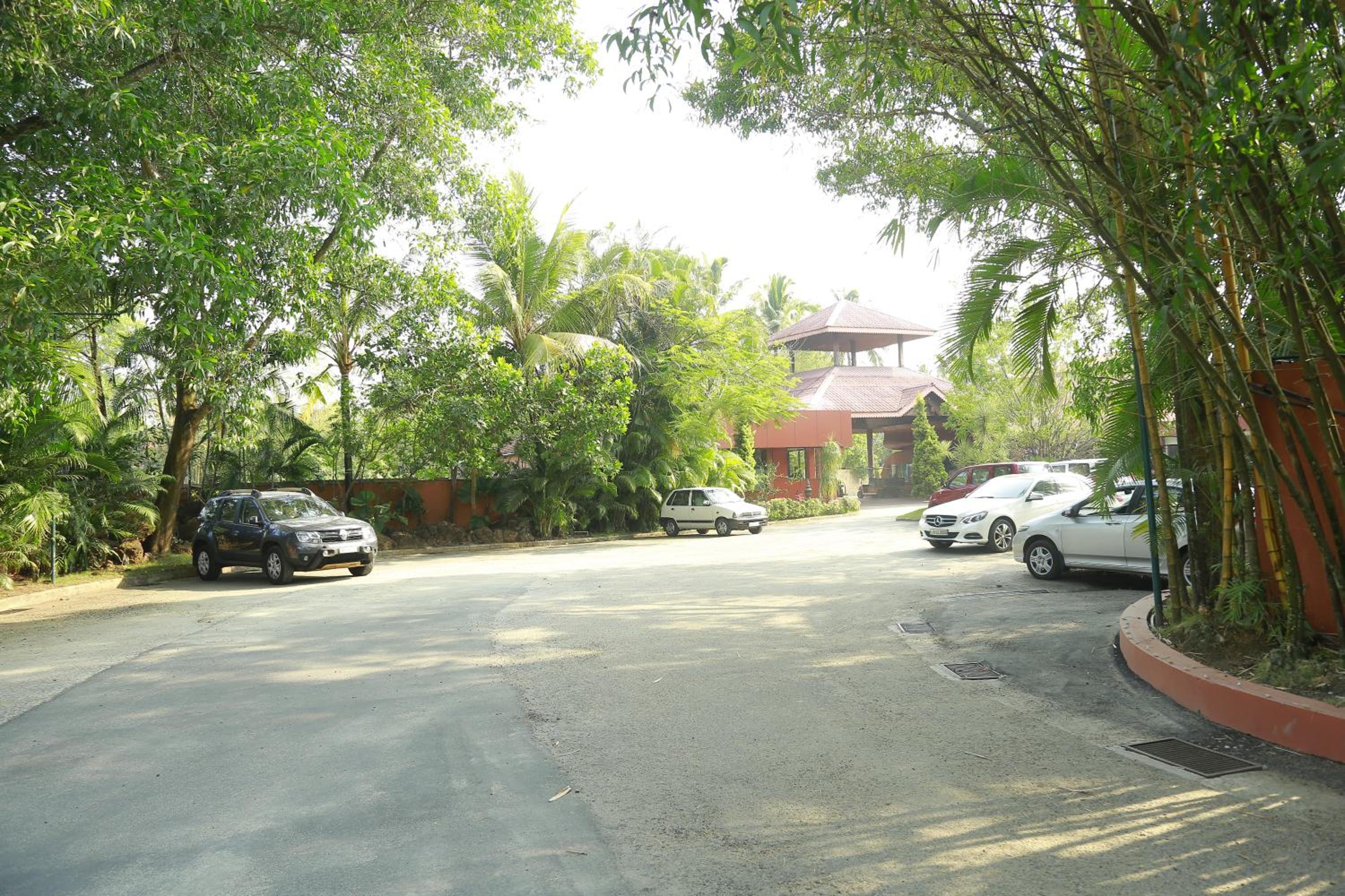 Photo 40