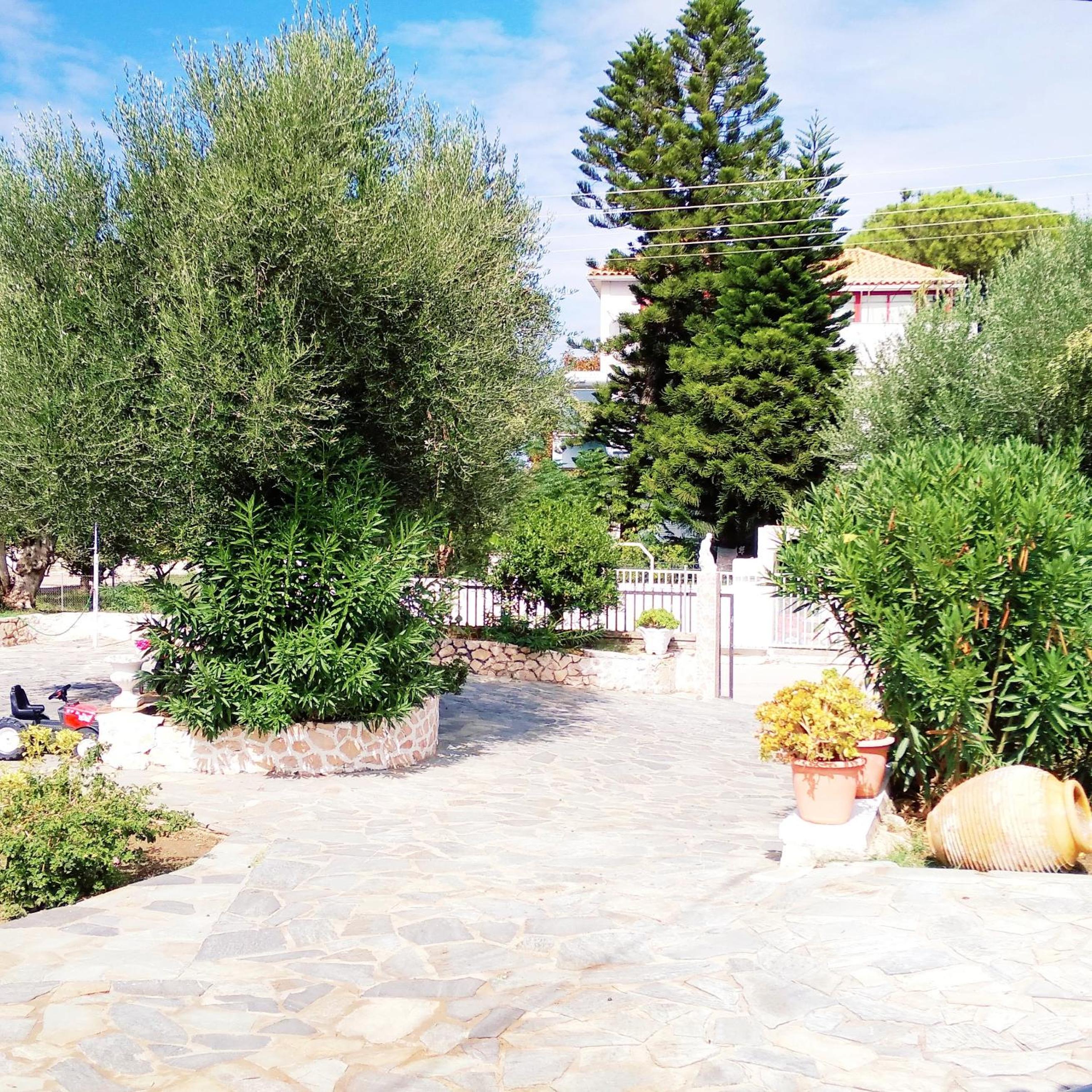 Photo 48