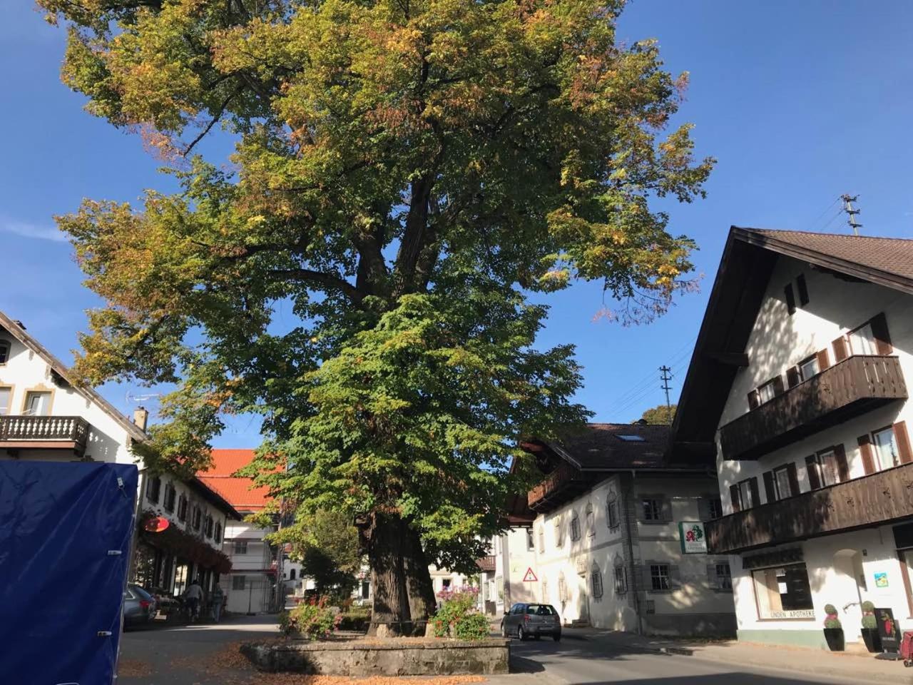 Am-Berg Ferienwohnung in Bad kohlgrub