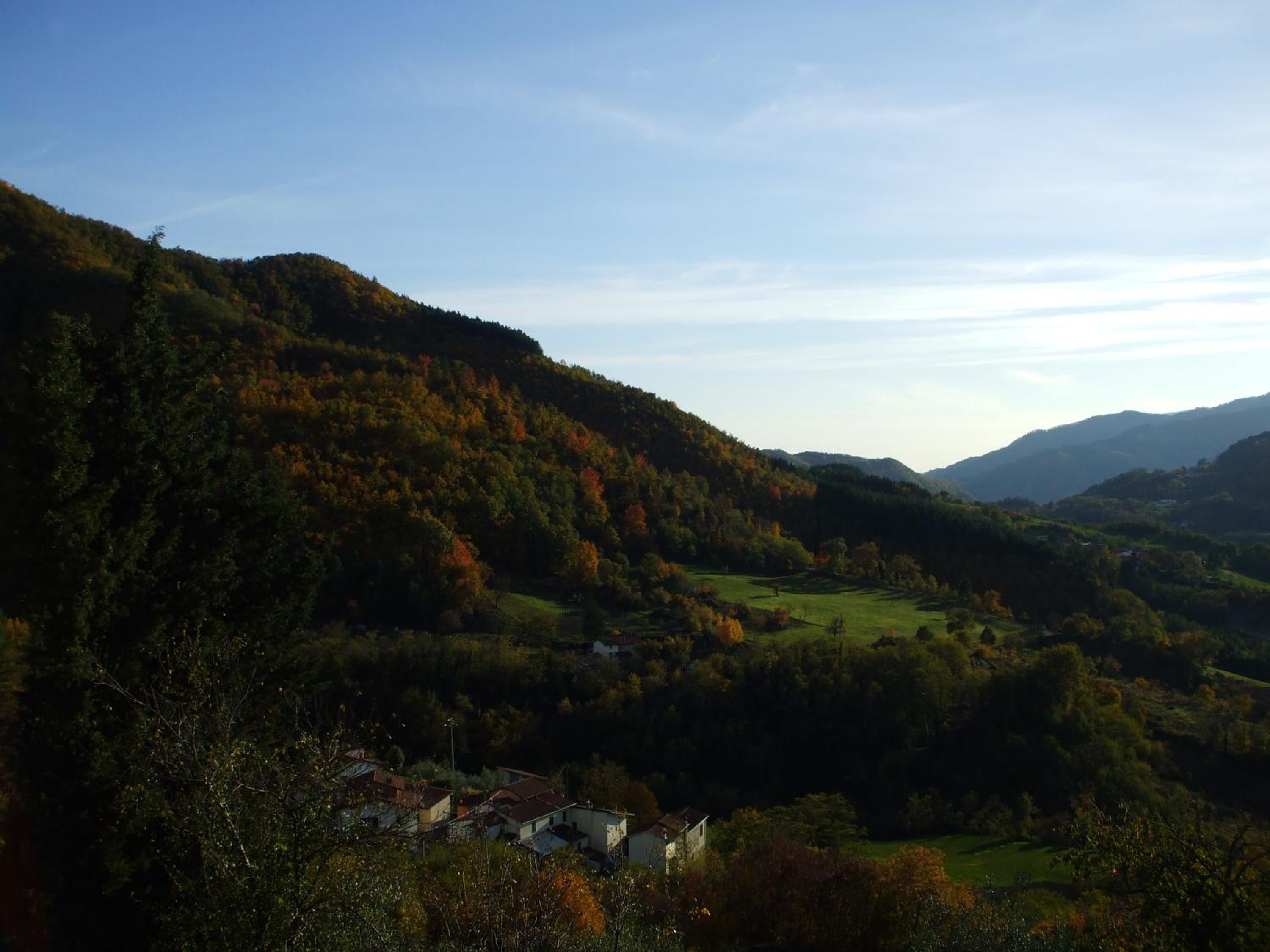 Photo 42