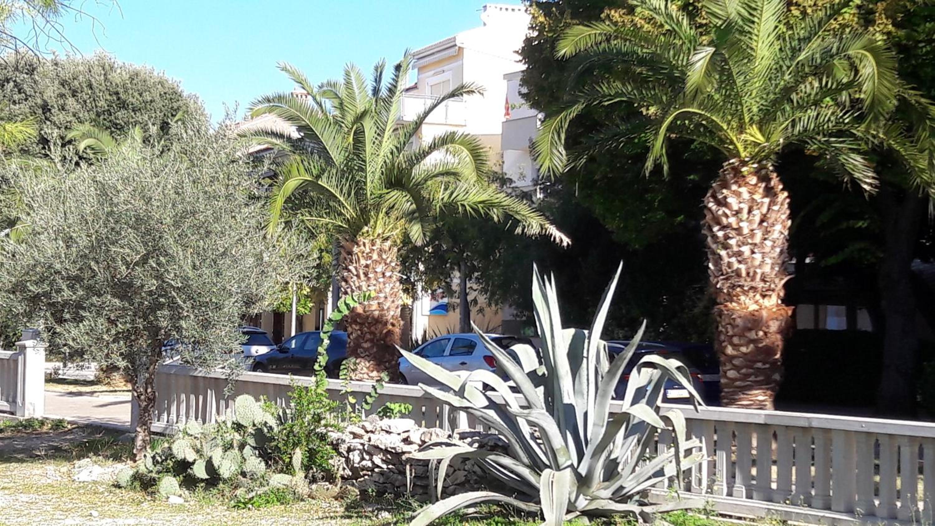 Apartments Zlata