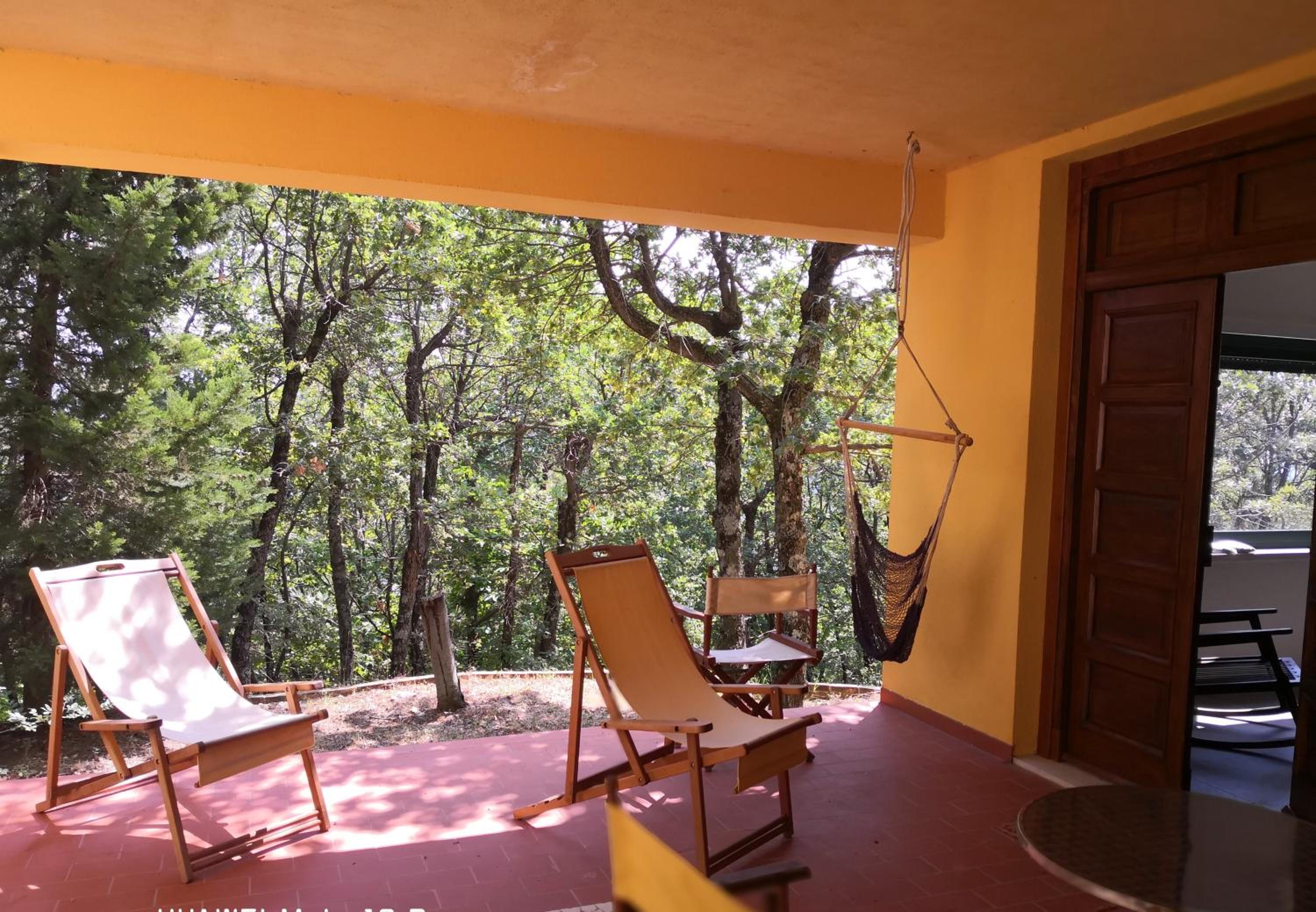 La tana del riccio photo 3