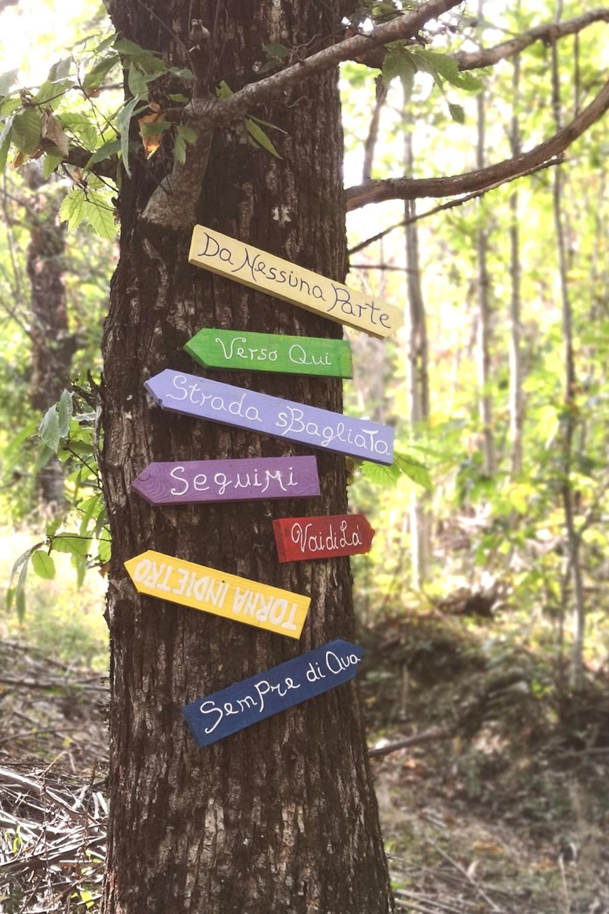 La tana del riccio photo 4