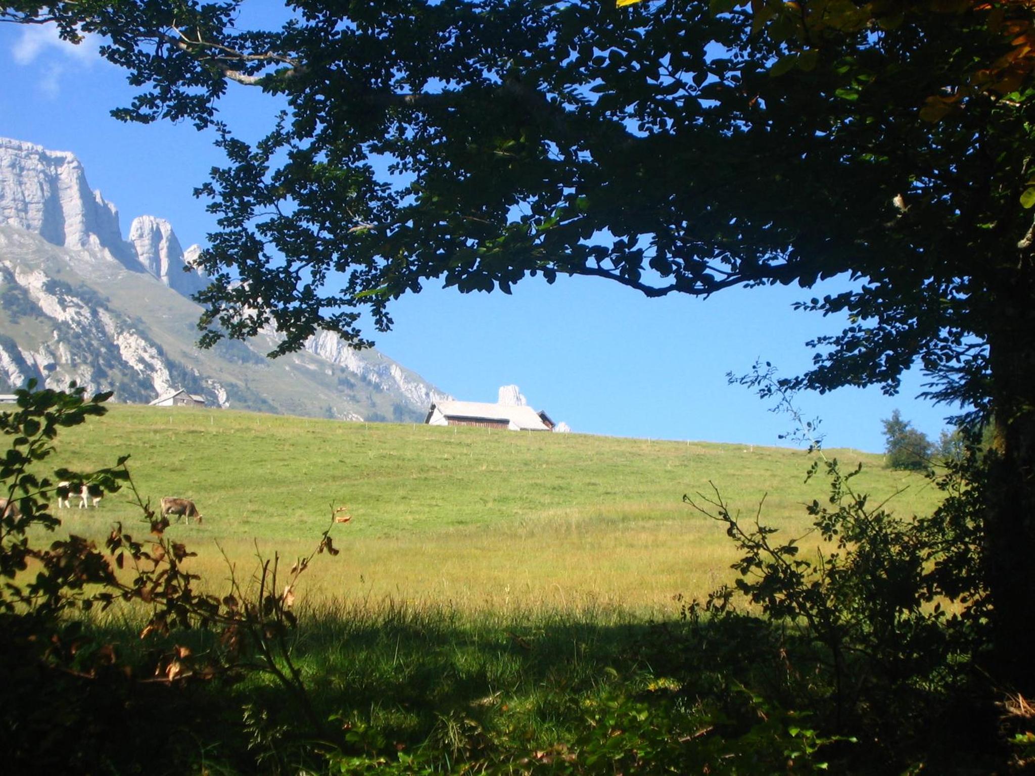 Gasthaus Schönenboden