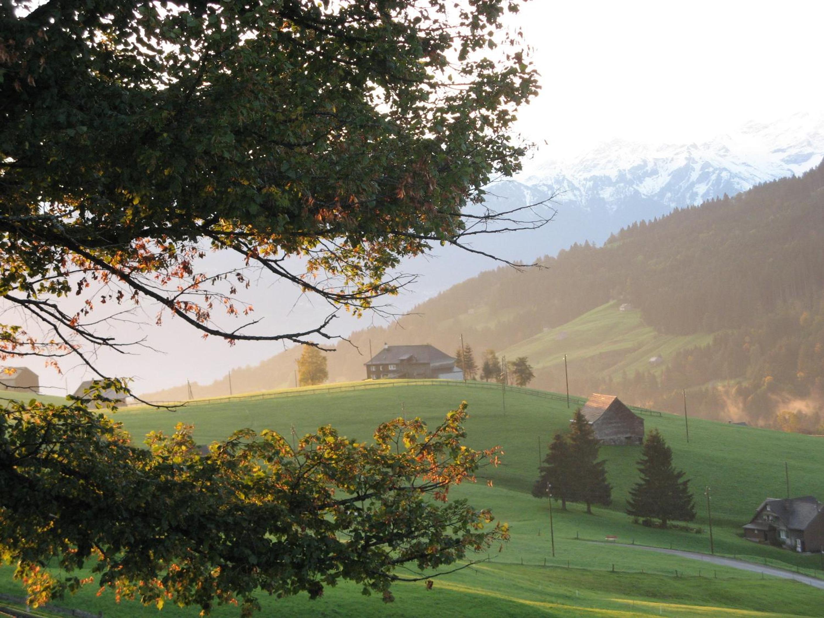 Gasthaus Schönenboden