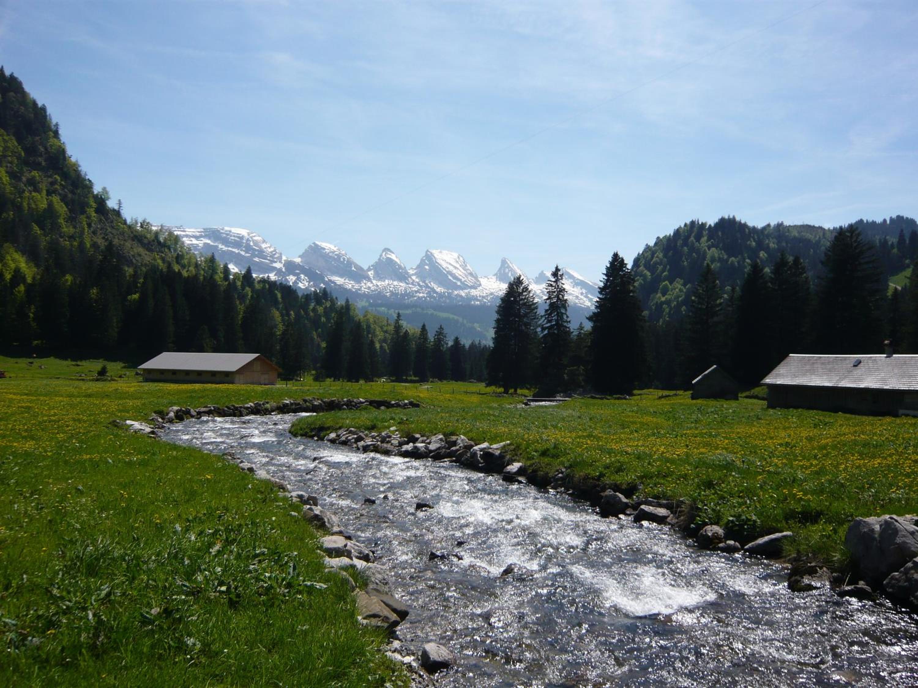 Gasthaus Schönenboden