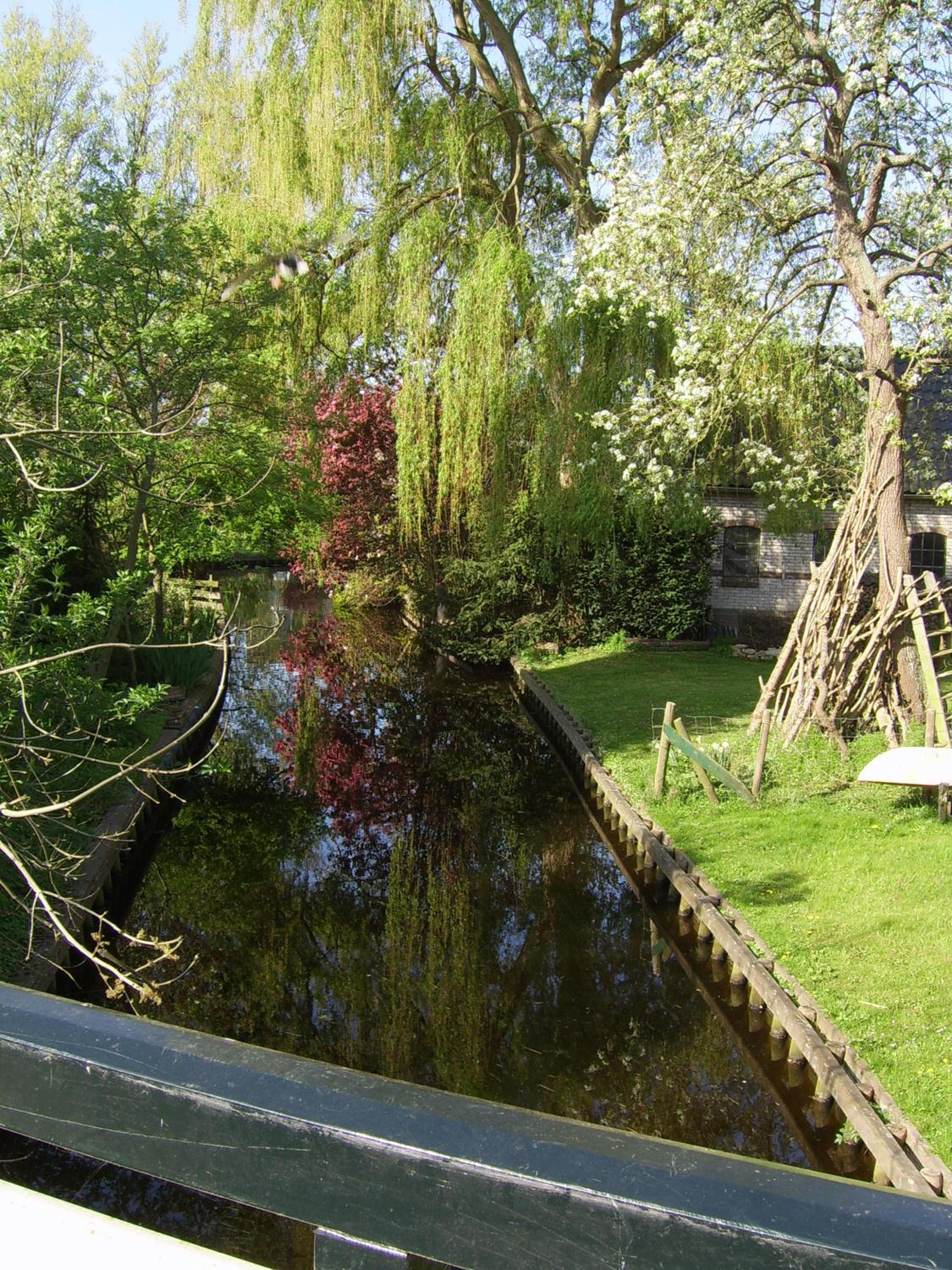 Photo 16