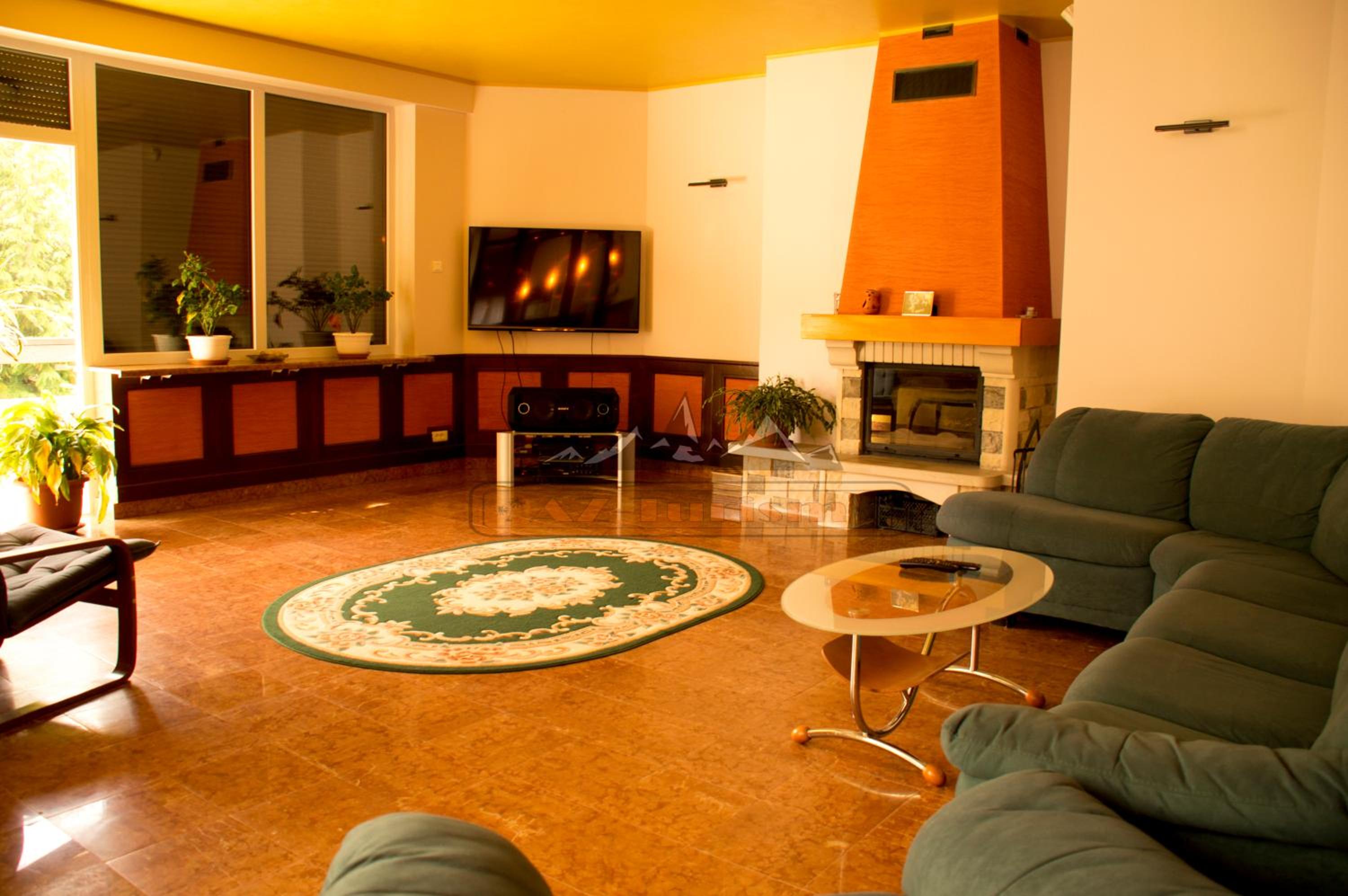 Ski & Adventure Vila view 5