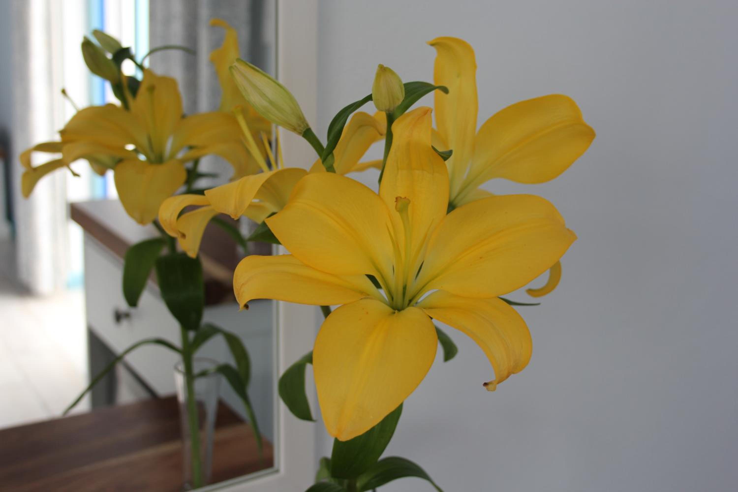 BlueSky Arniston Boutique Guesthouse