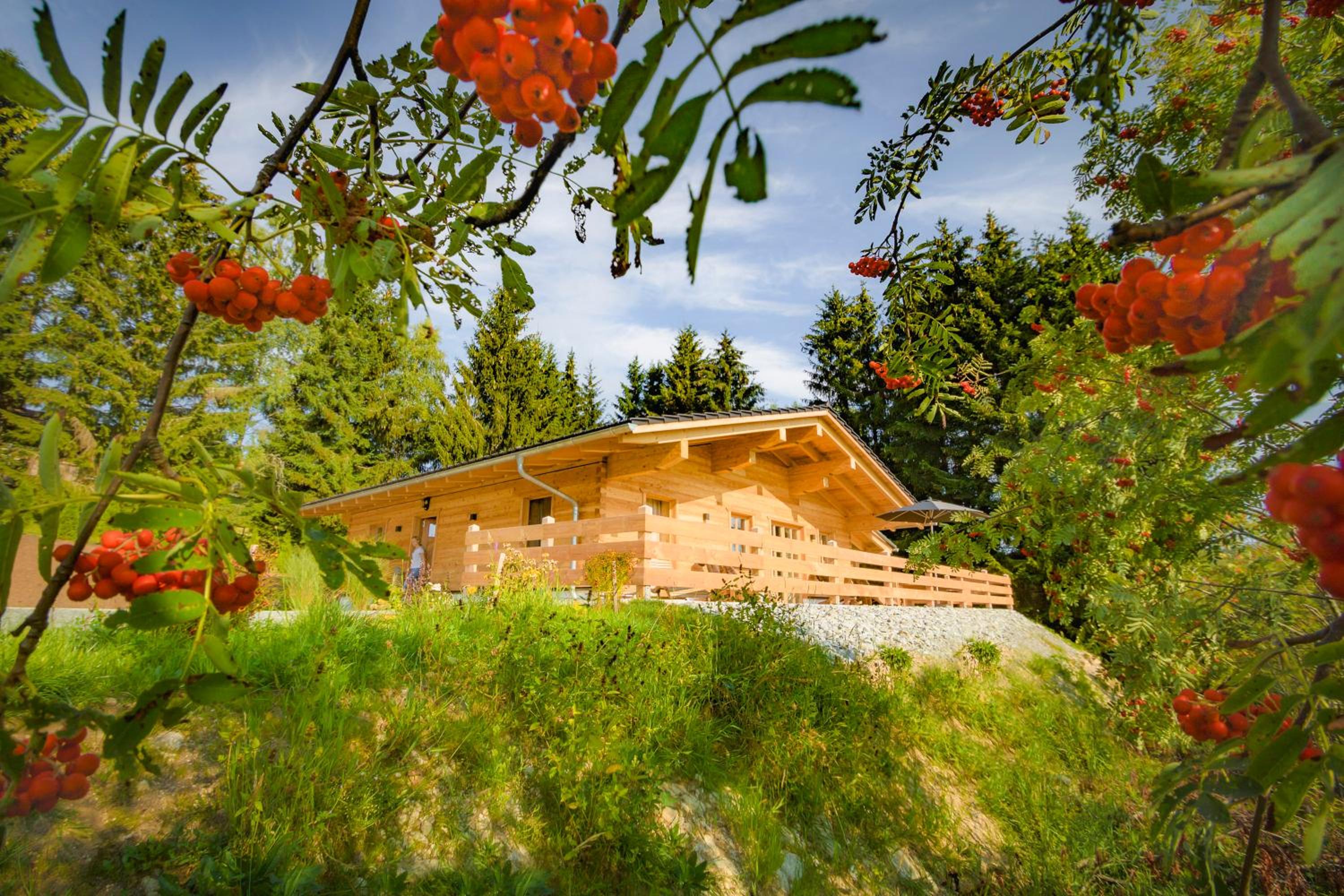 Das Wistlberg Wohlfühlchalet view 2