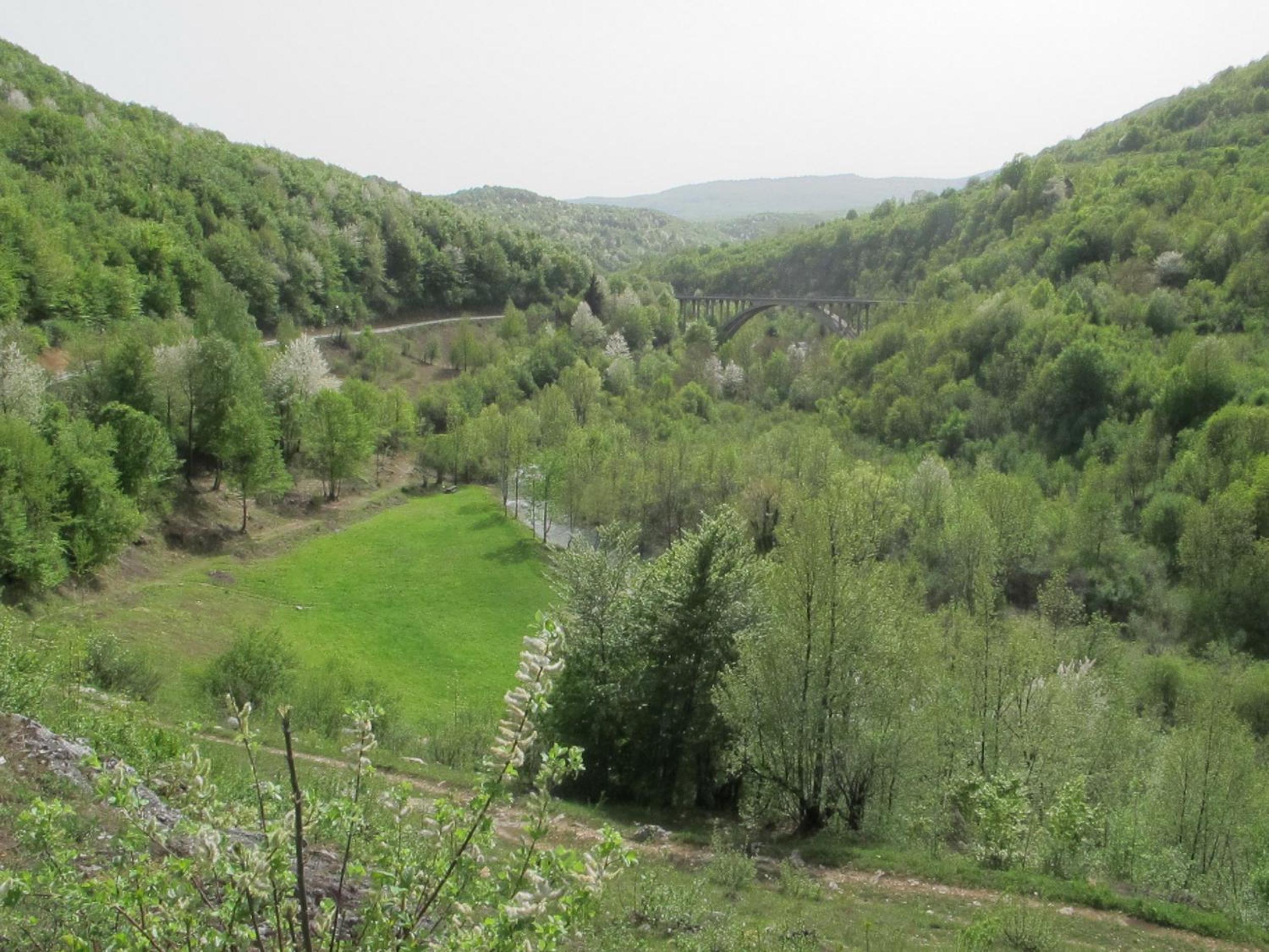 Photo 21