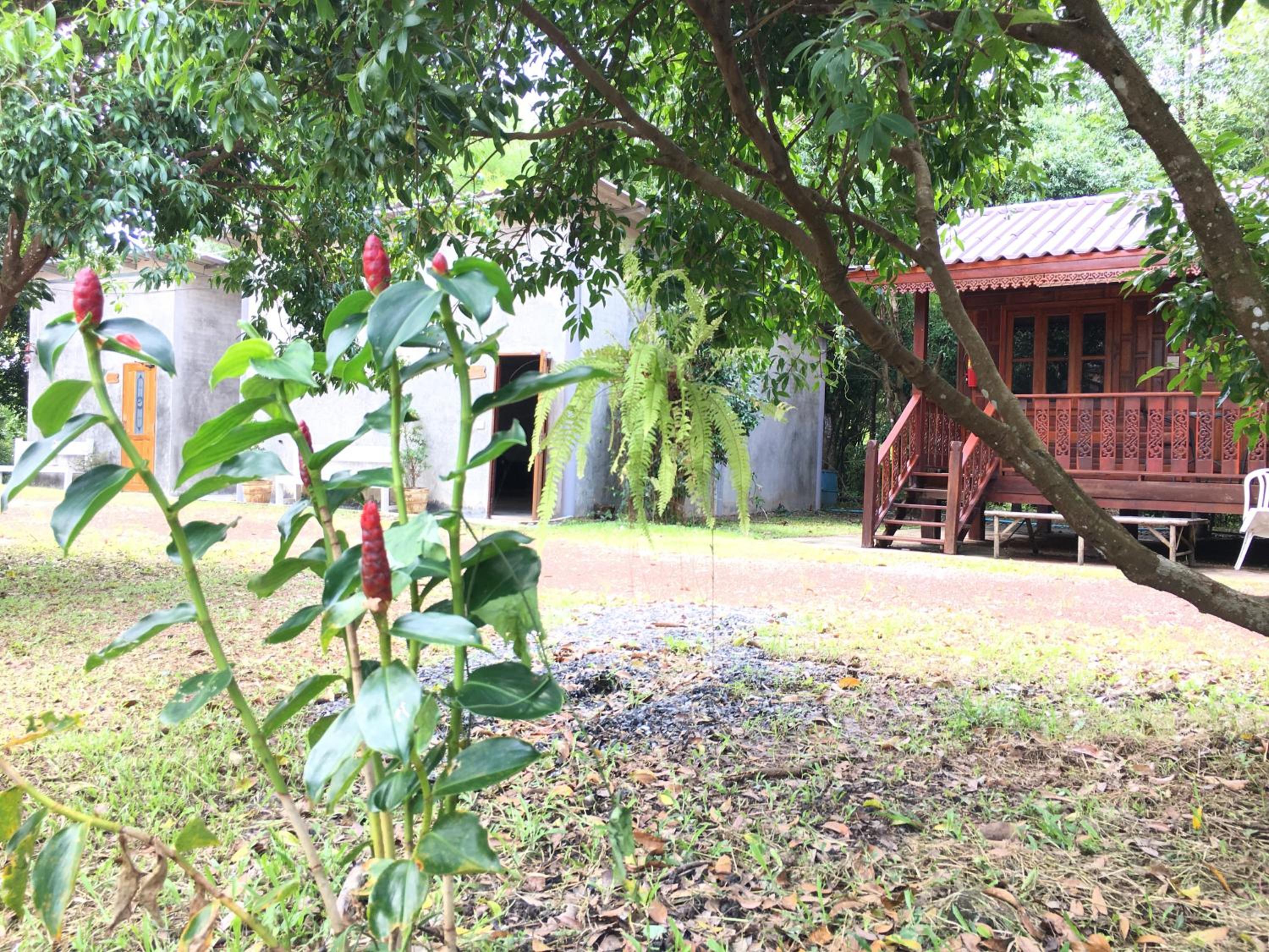 Baan Suan Kru Kob view 4