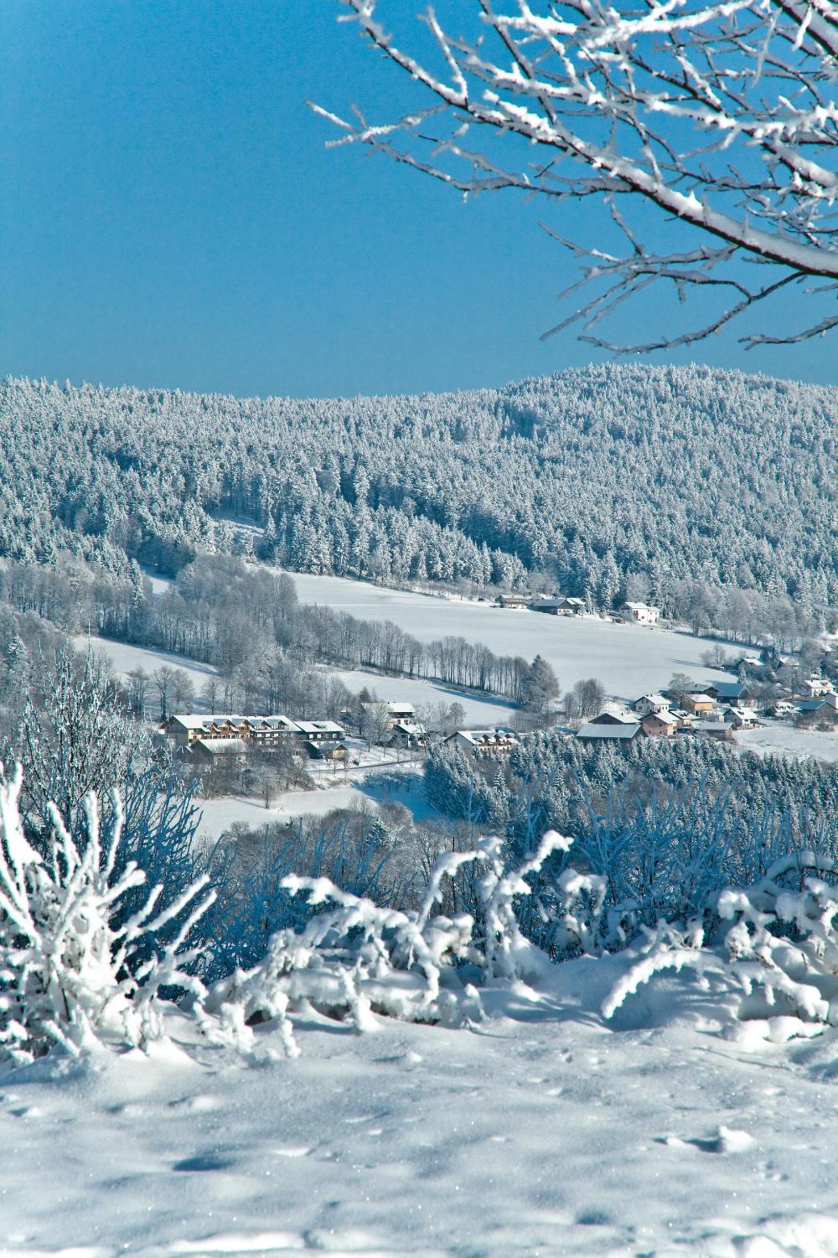 Photo 44