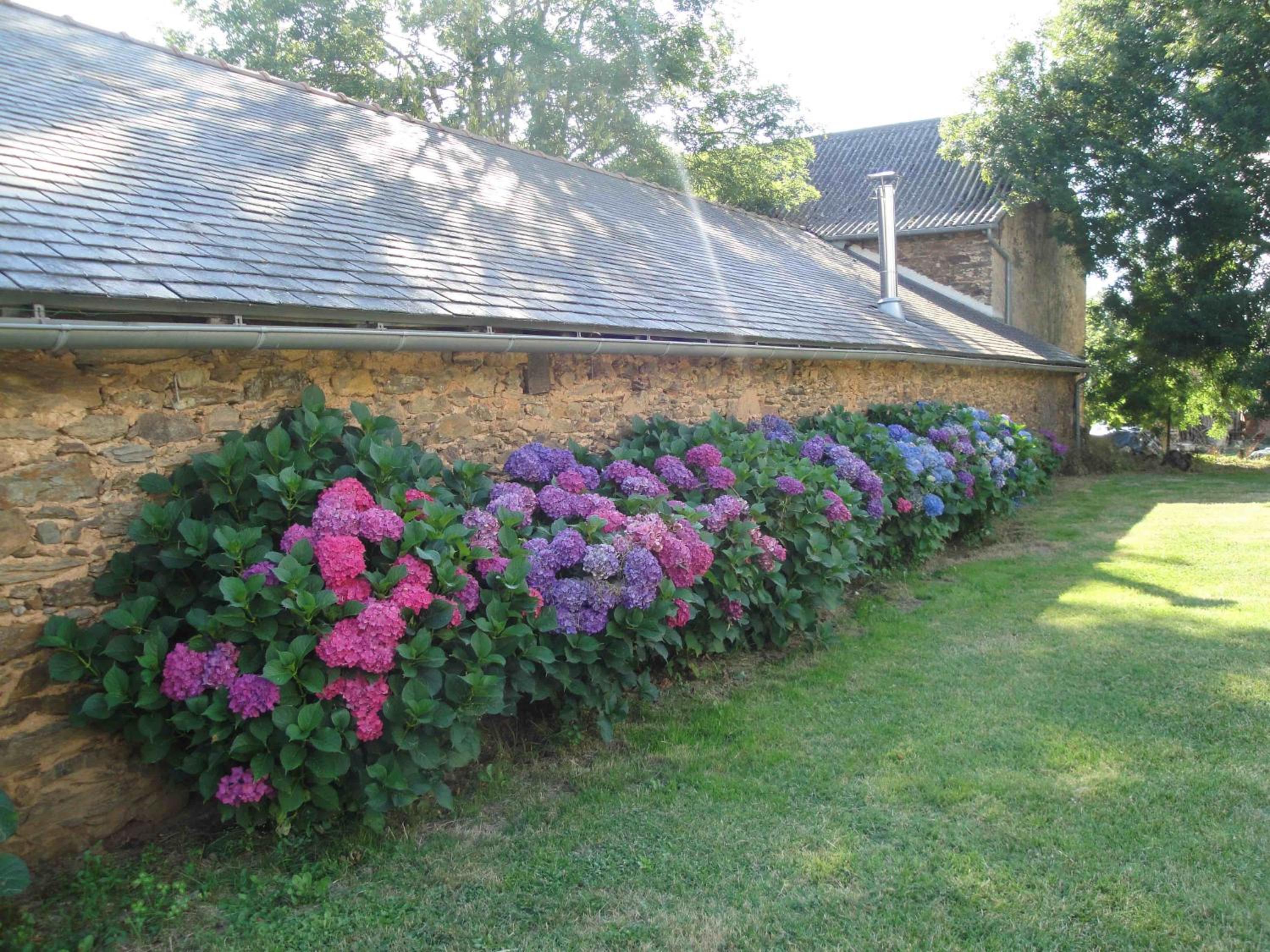 Photo 49