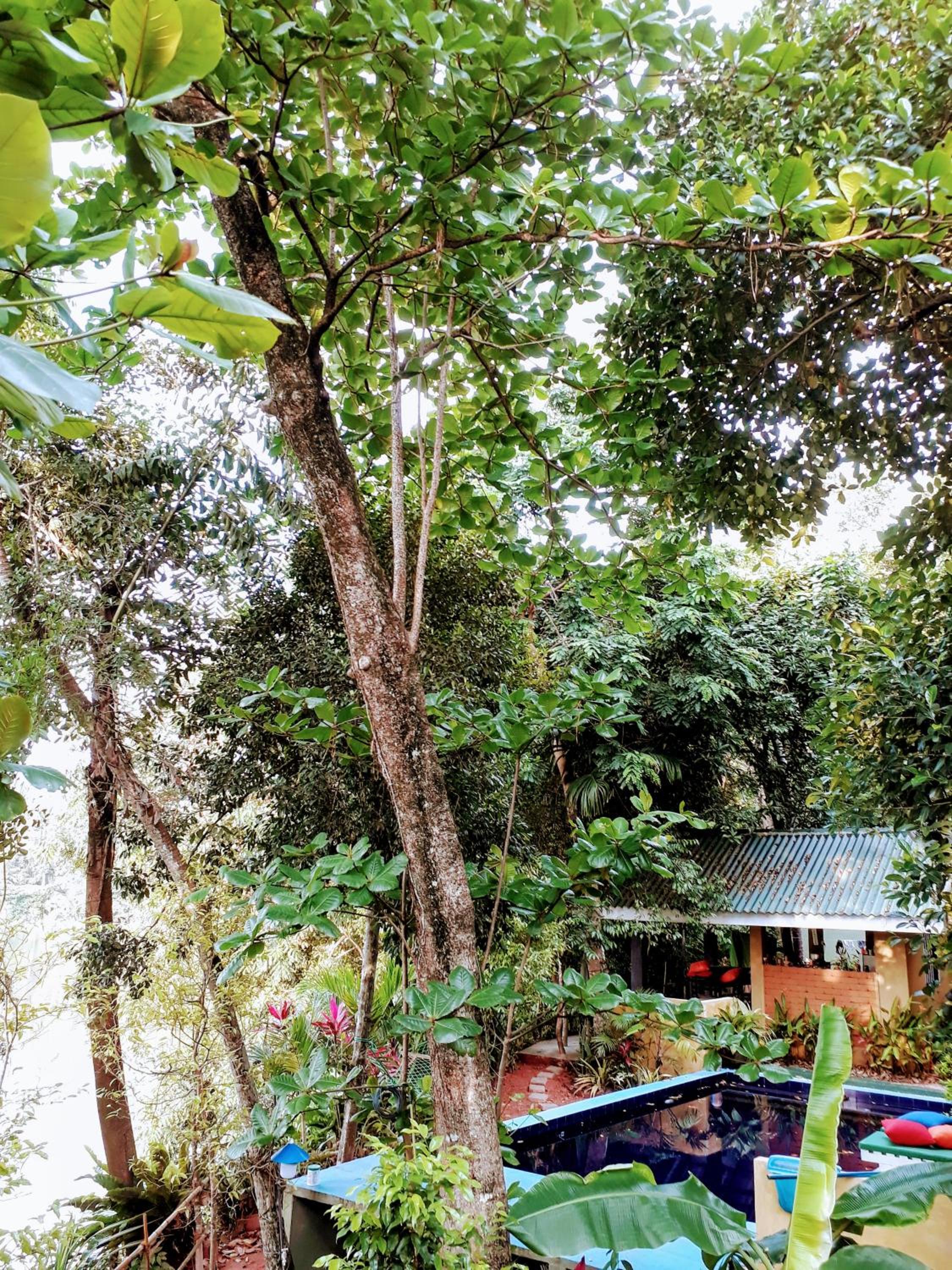 Randoni Villa