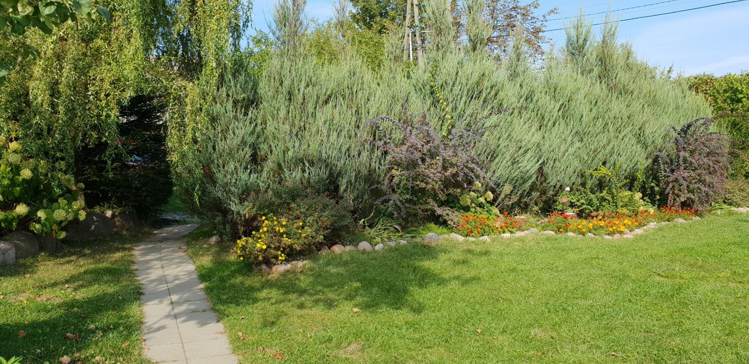 Photo 42