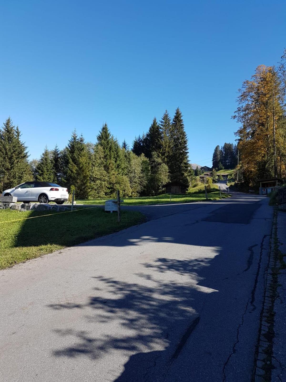 Chalet Grüneggli