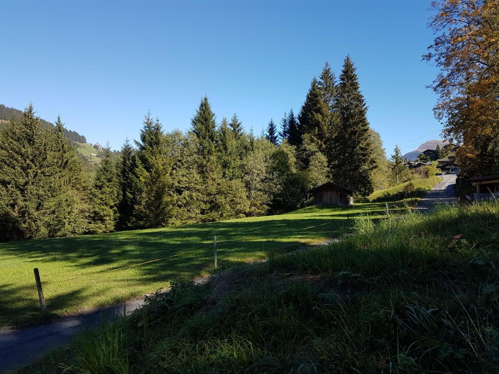 Chalet Grüneggli