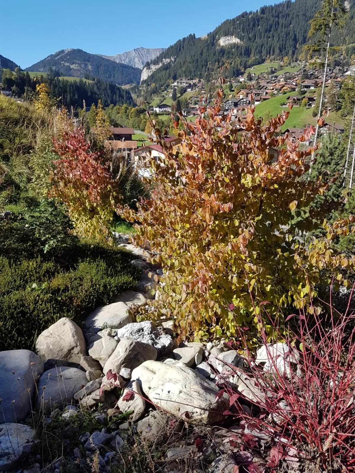 Chalet Grüneggli
