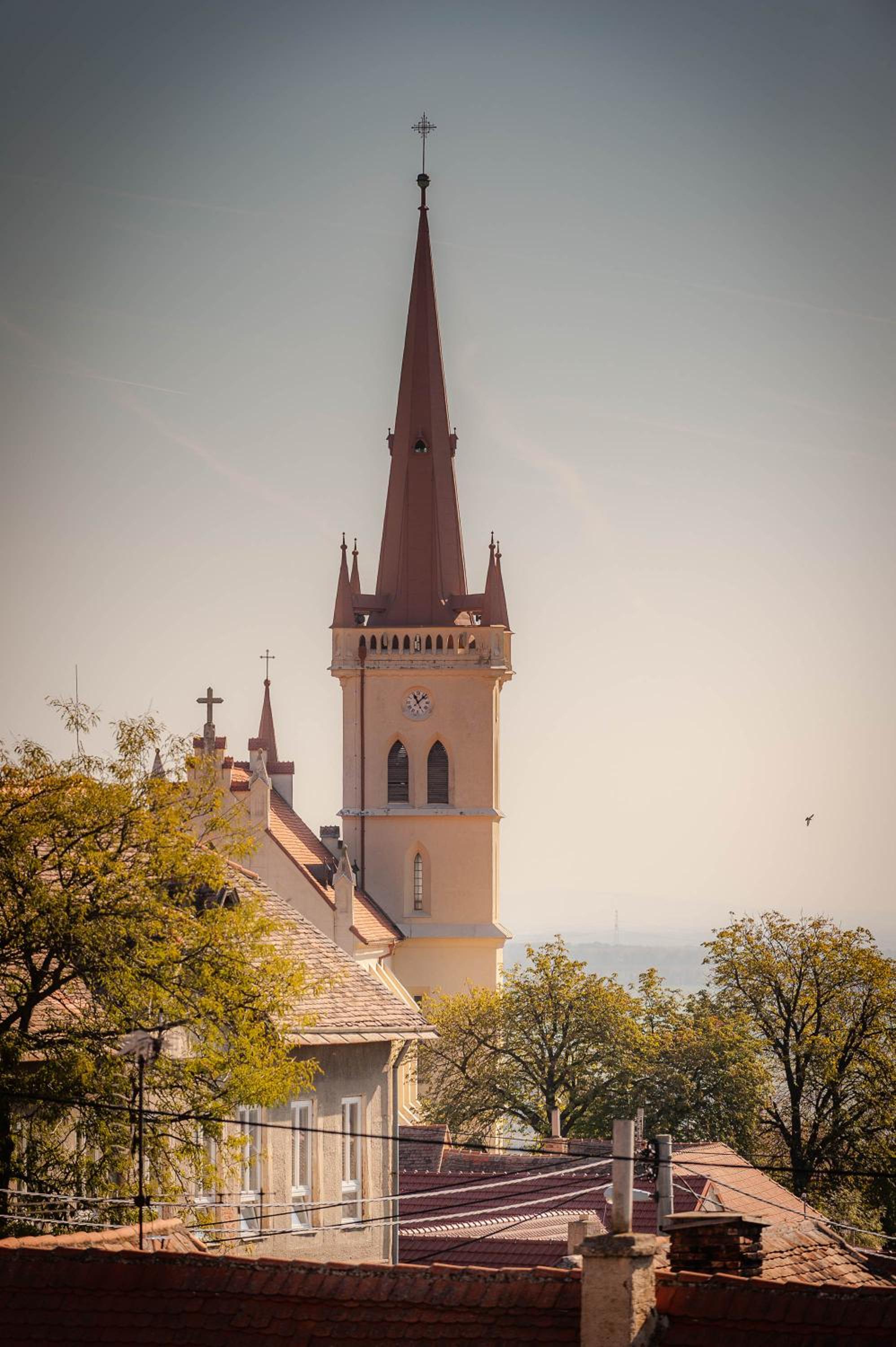 Photo 43