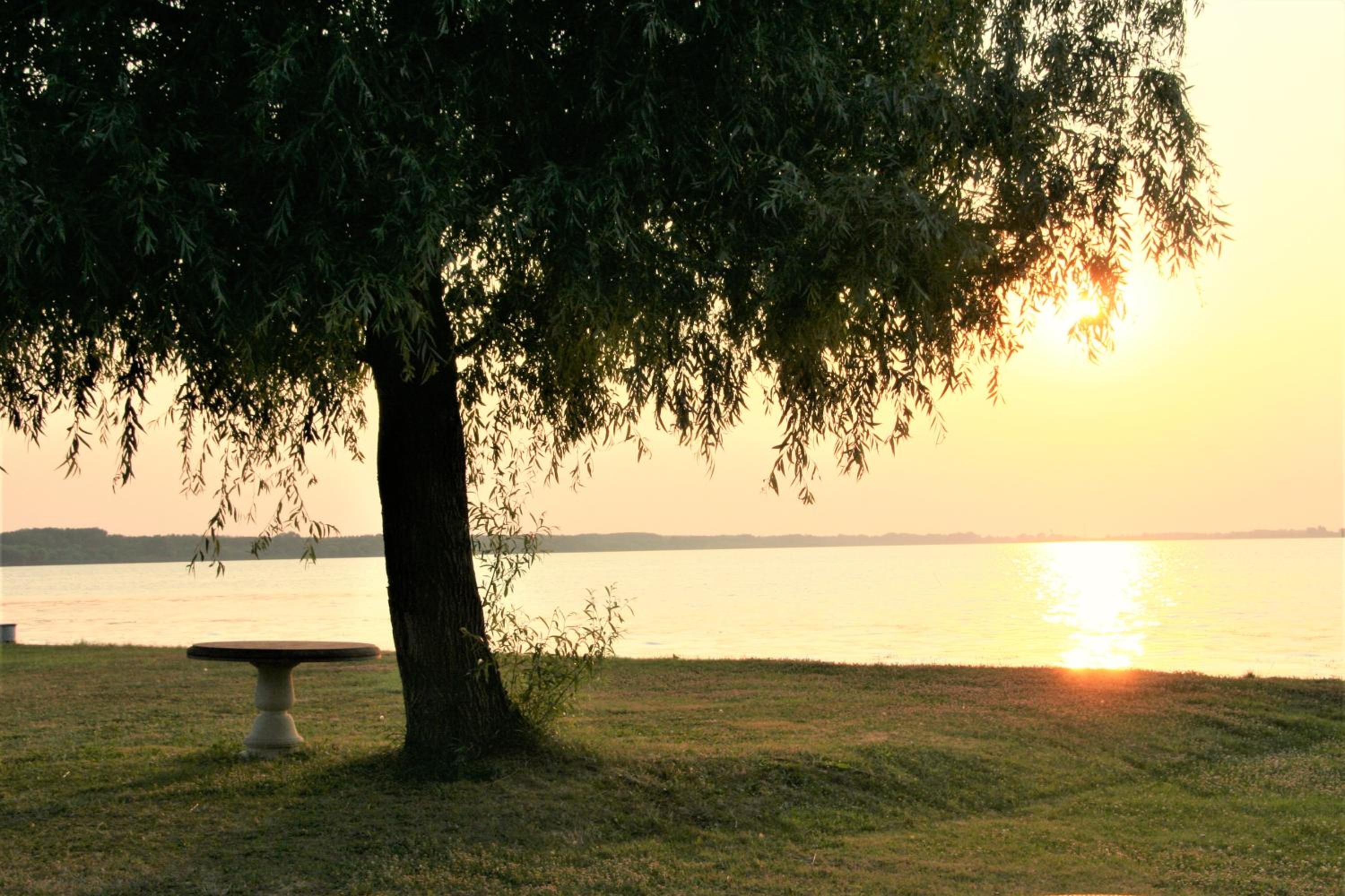 Lekehalom Tiszameer