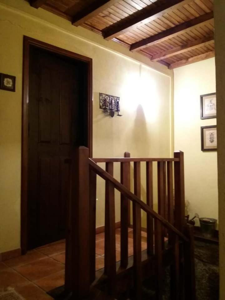 Photo 61