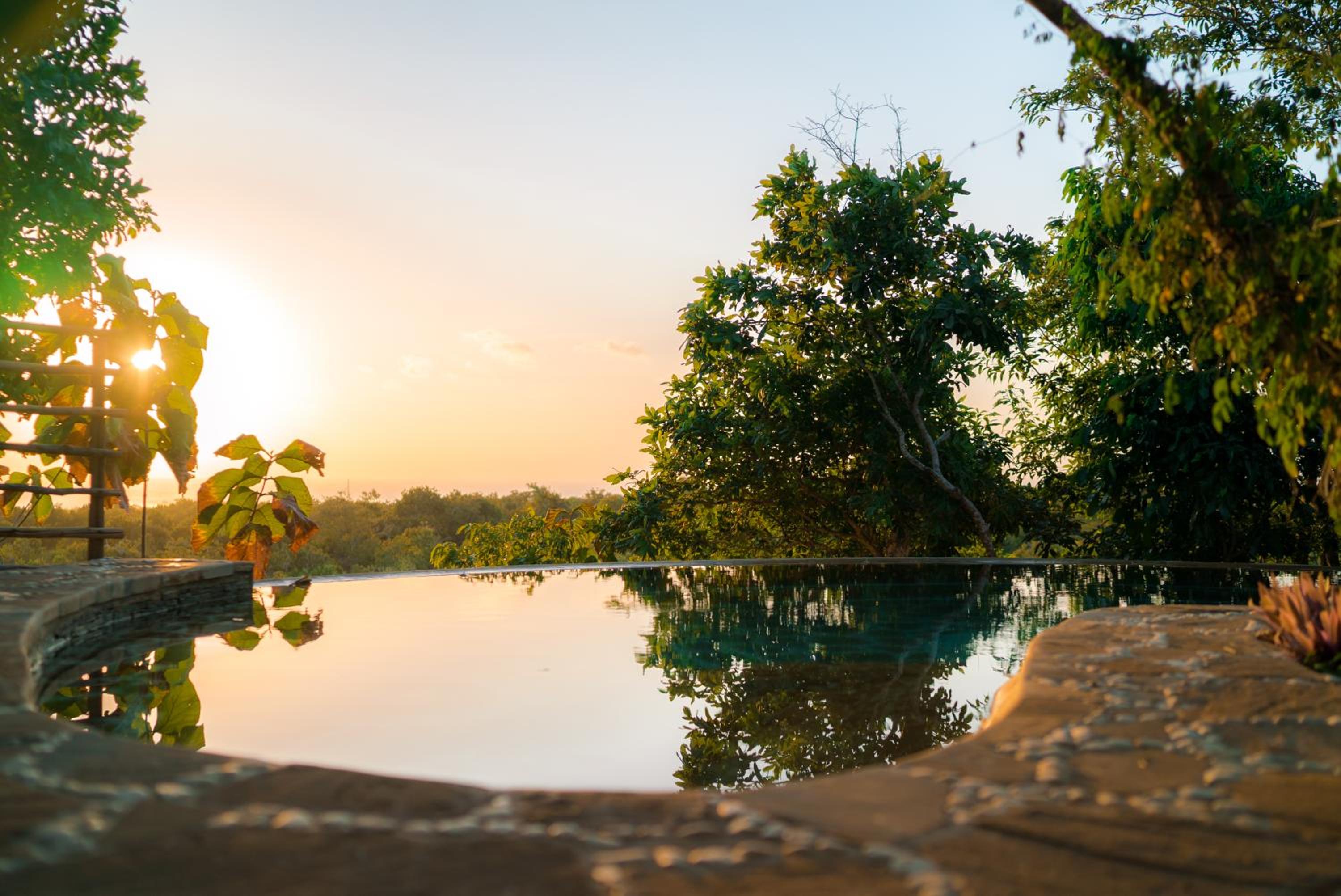 Utopia Rote Lodge