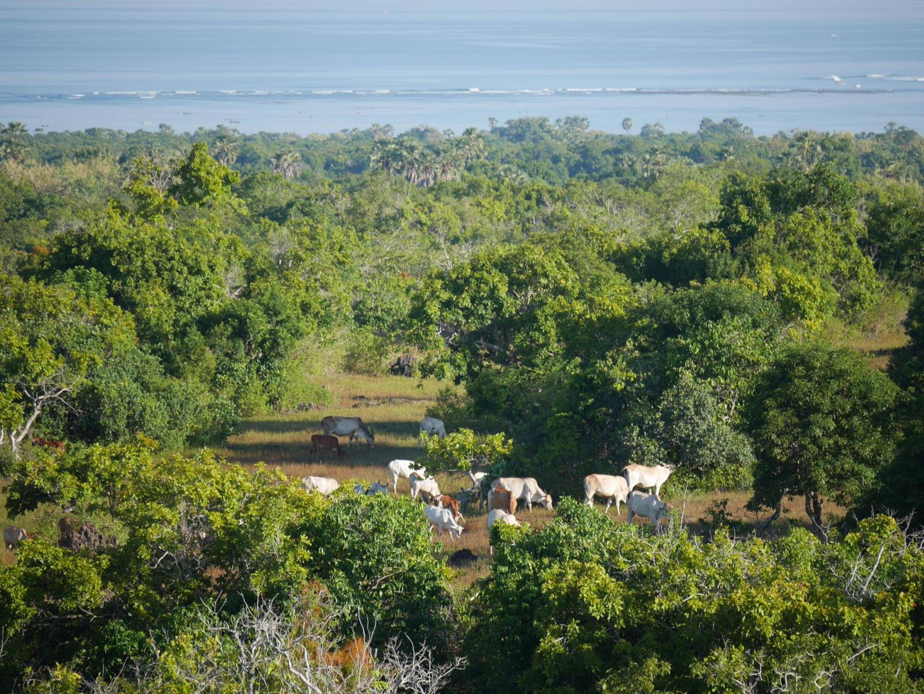 Utopia Rote Lodge