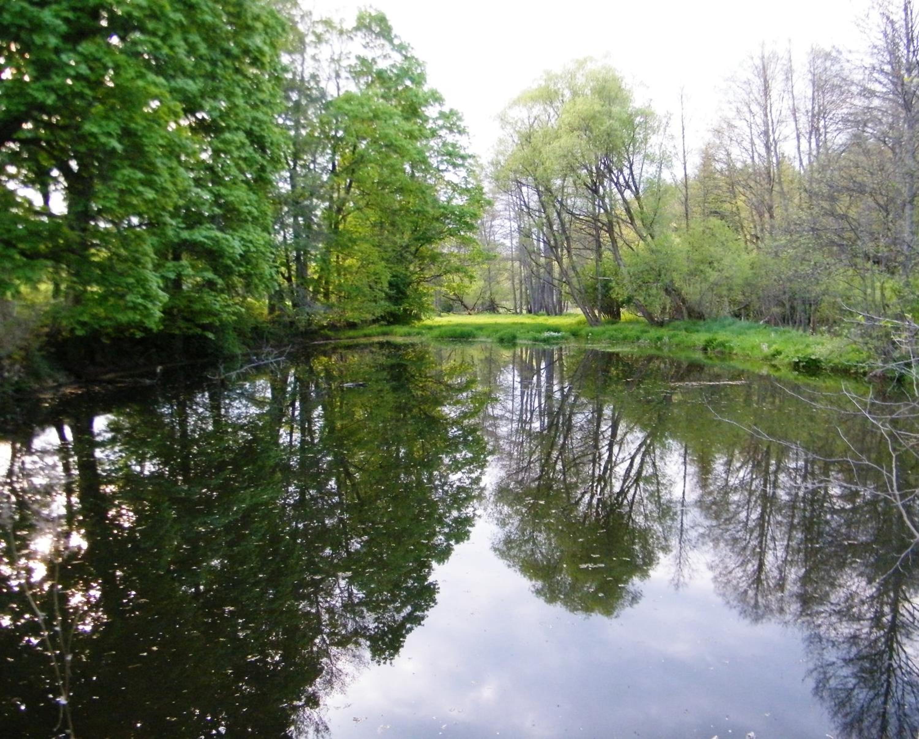 Rainmühle