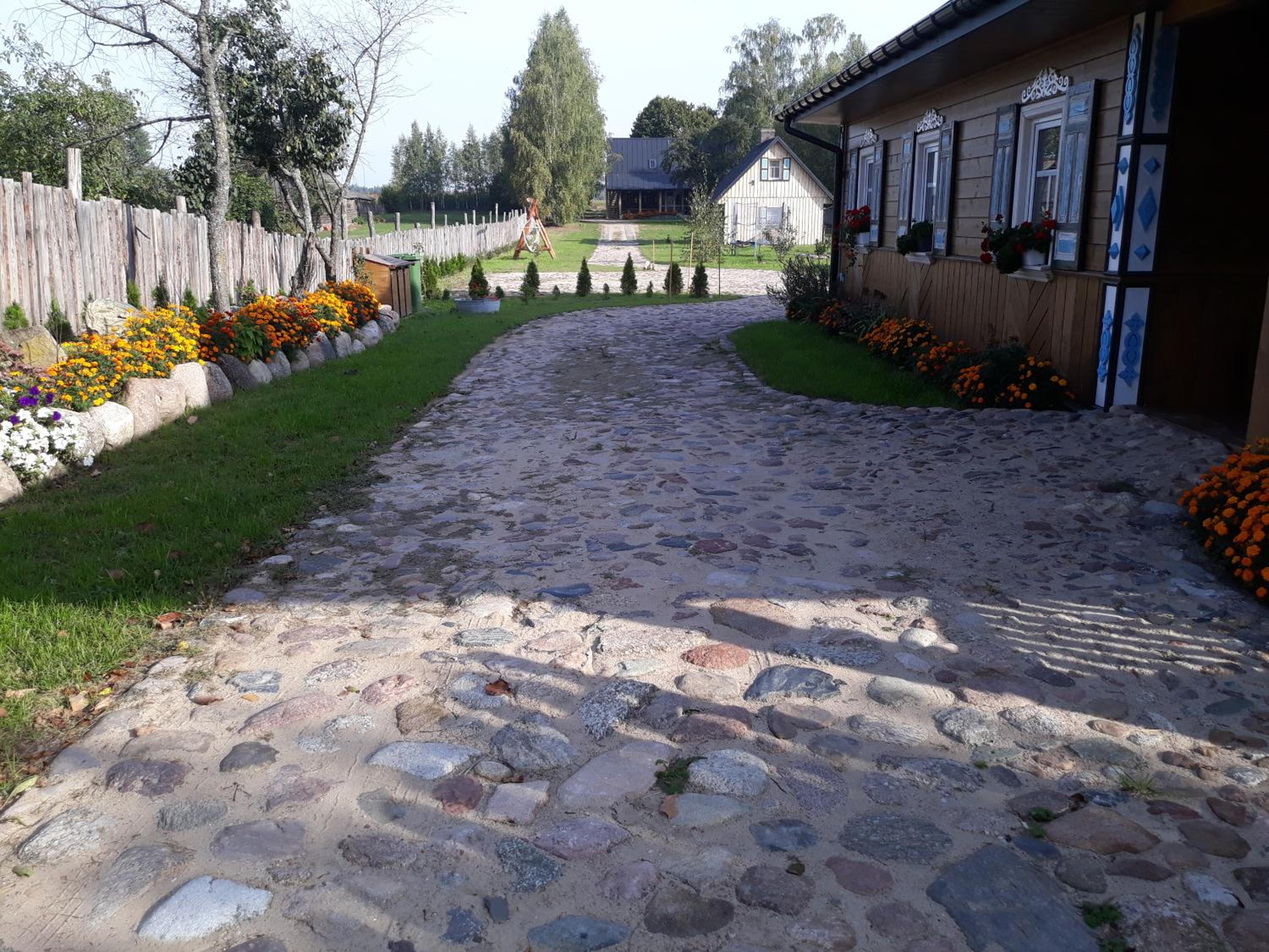 Photo 41