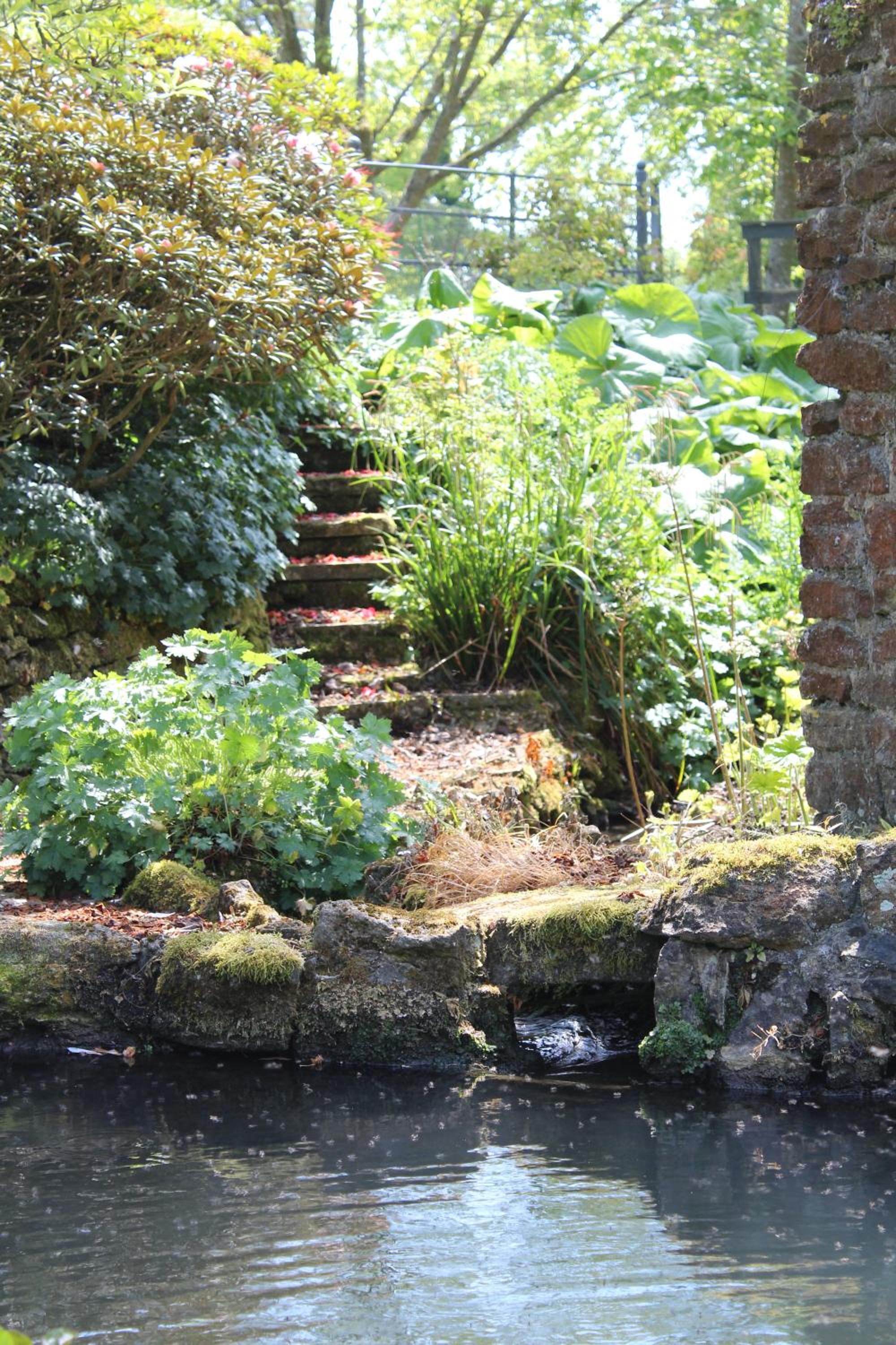 Photo 42