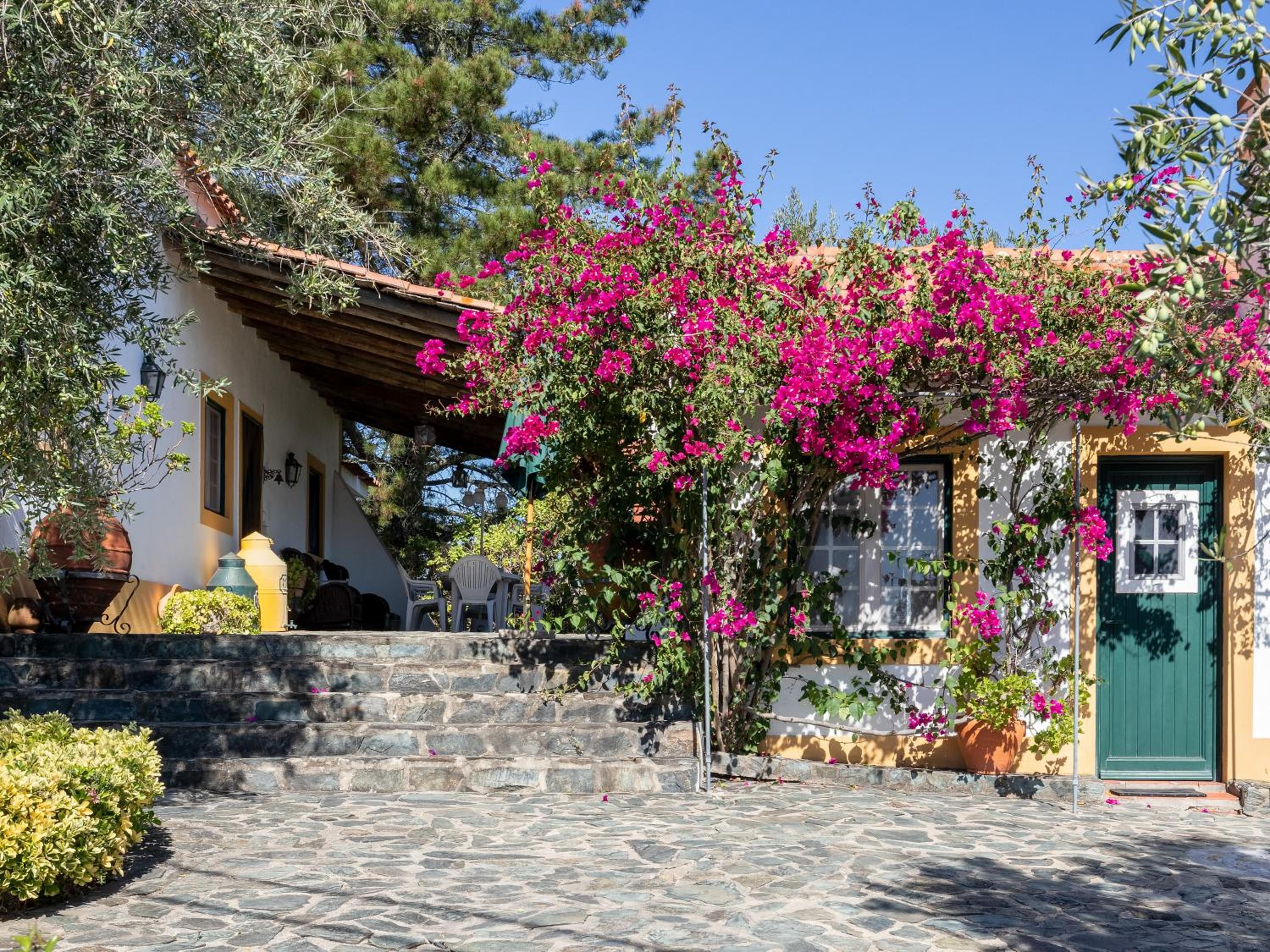 Monte Velho Country House view 3