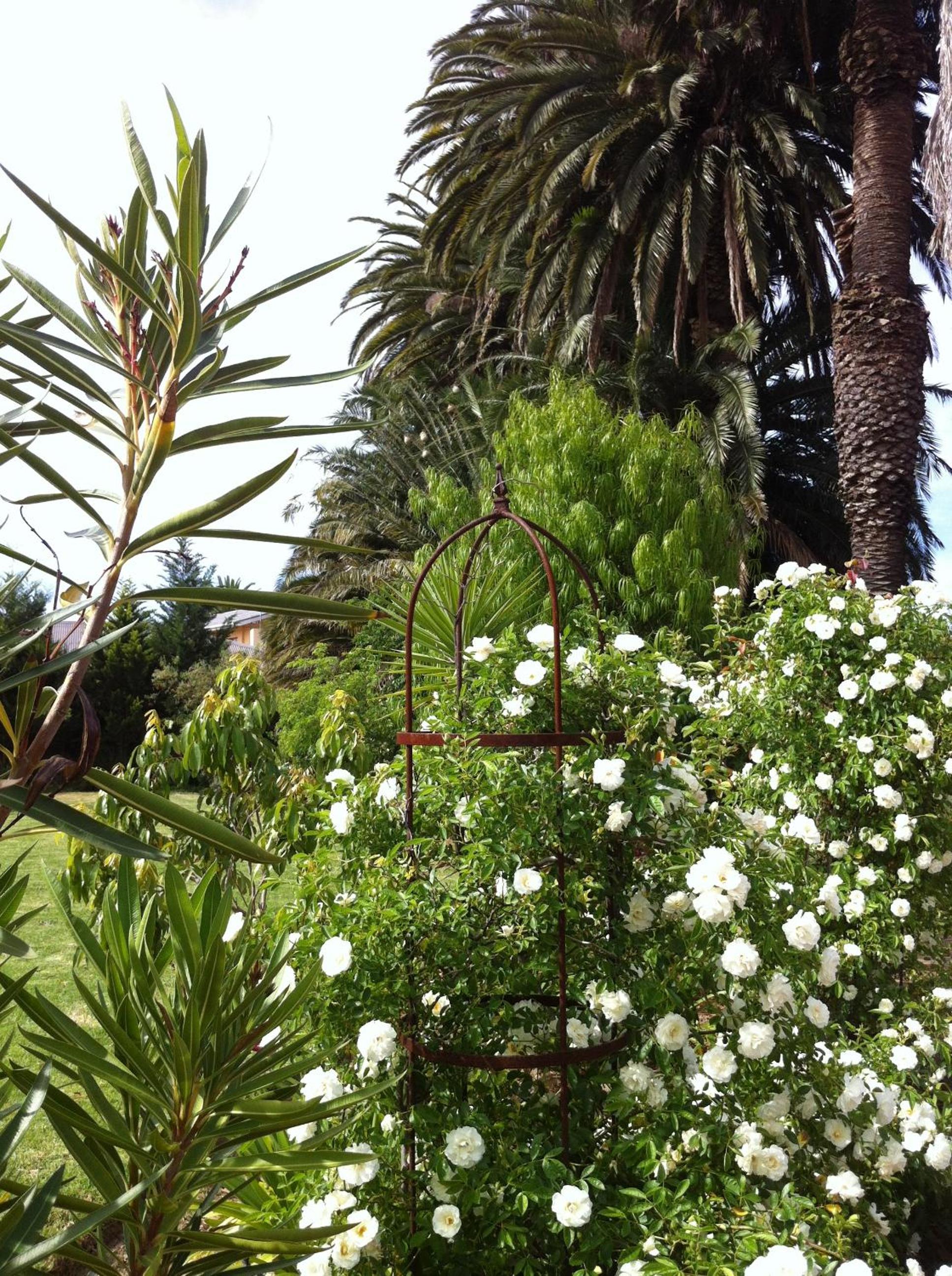 Photo 46