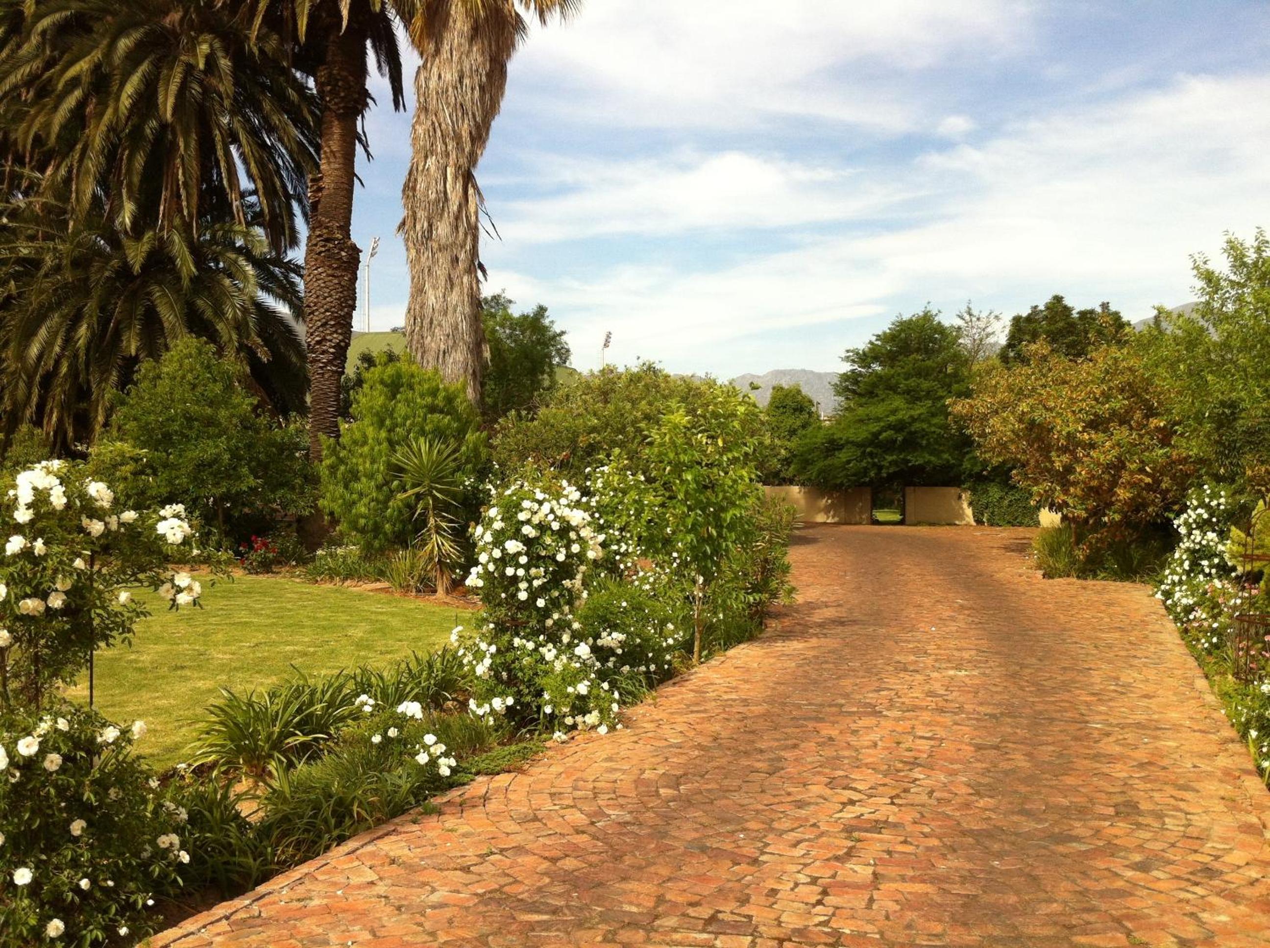 Photo 44