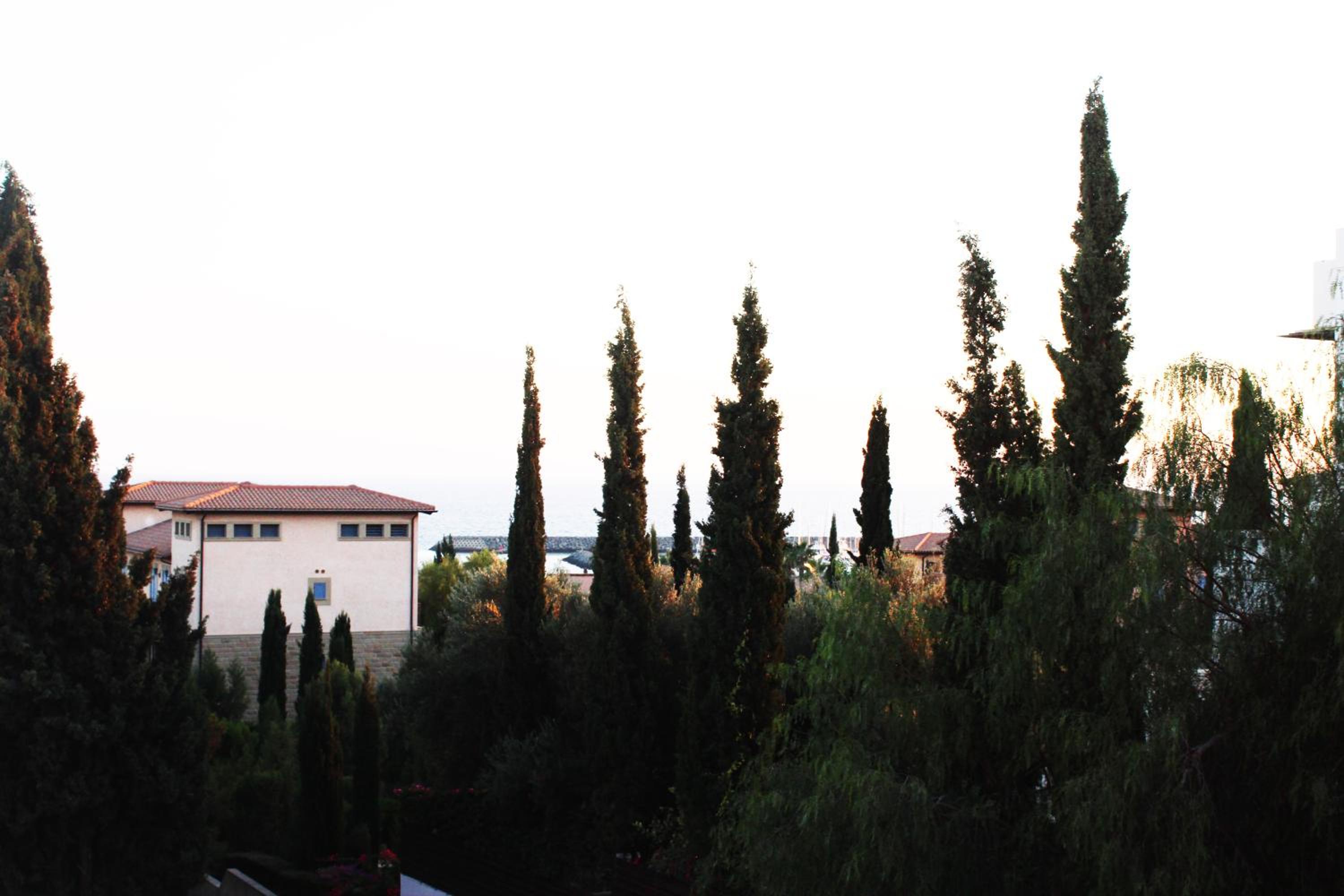 Photo 24